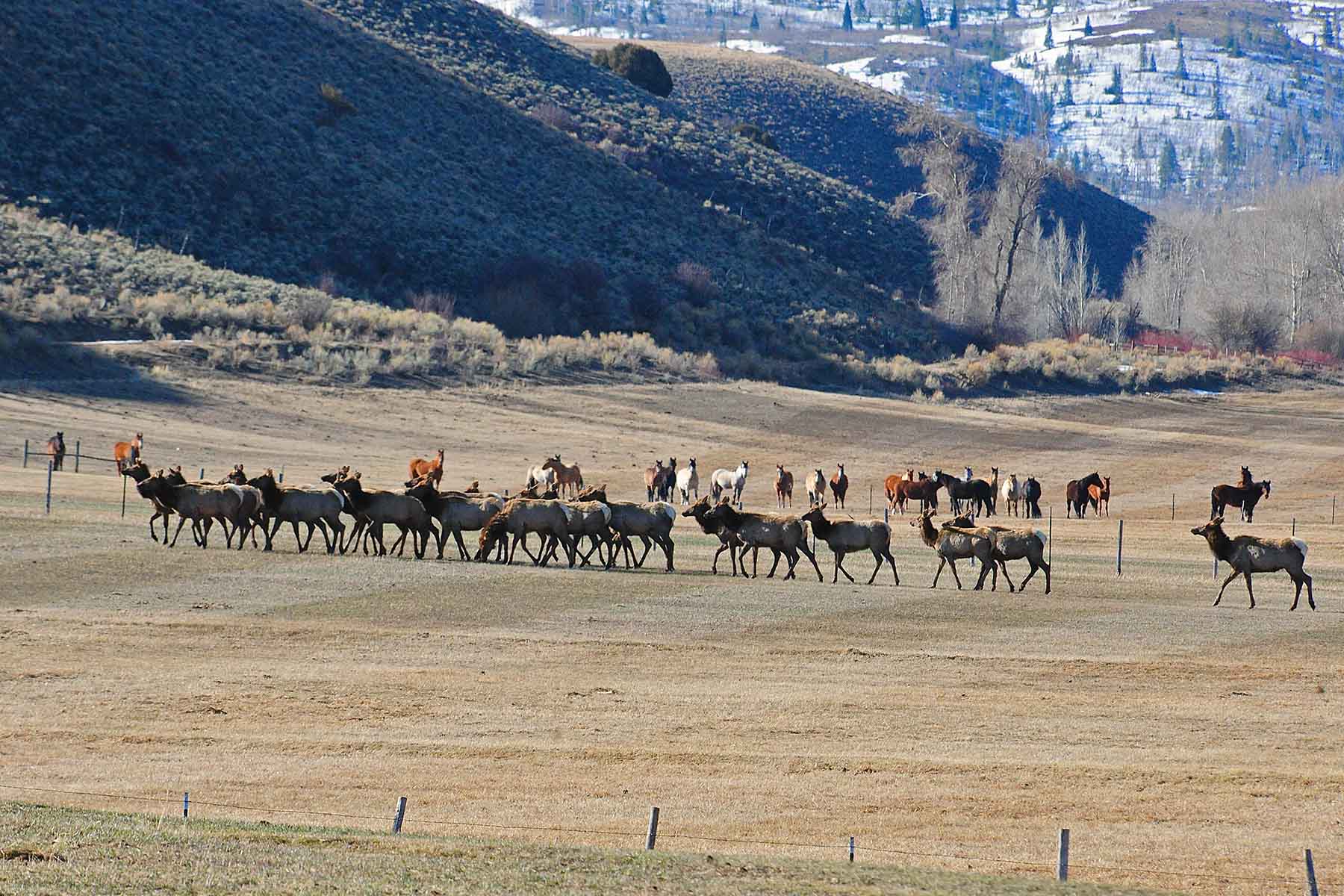 Pass Creek Ranch property picture 46 of 87