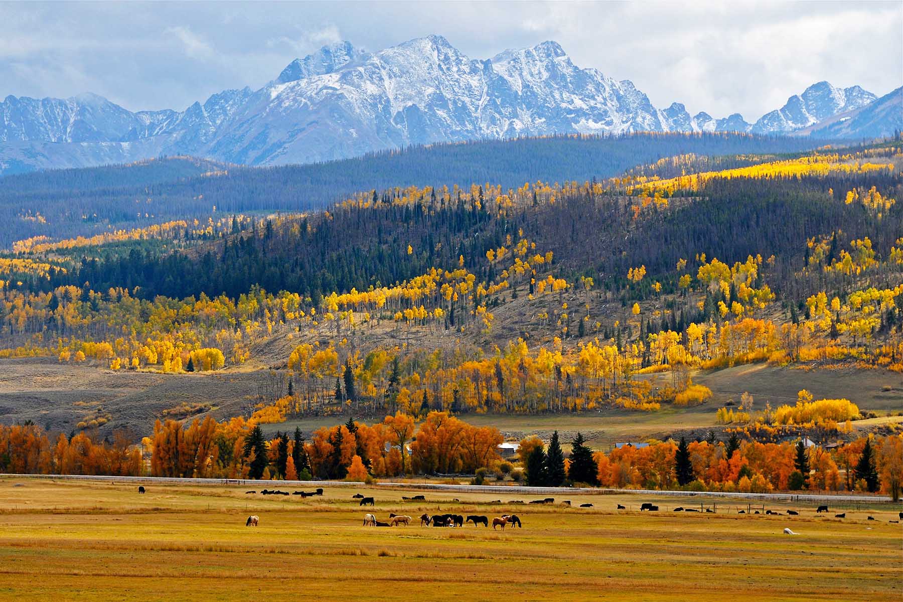 Pass Creek Ranch property picture 18 of 87