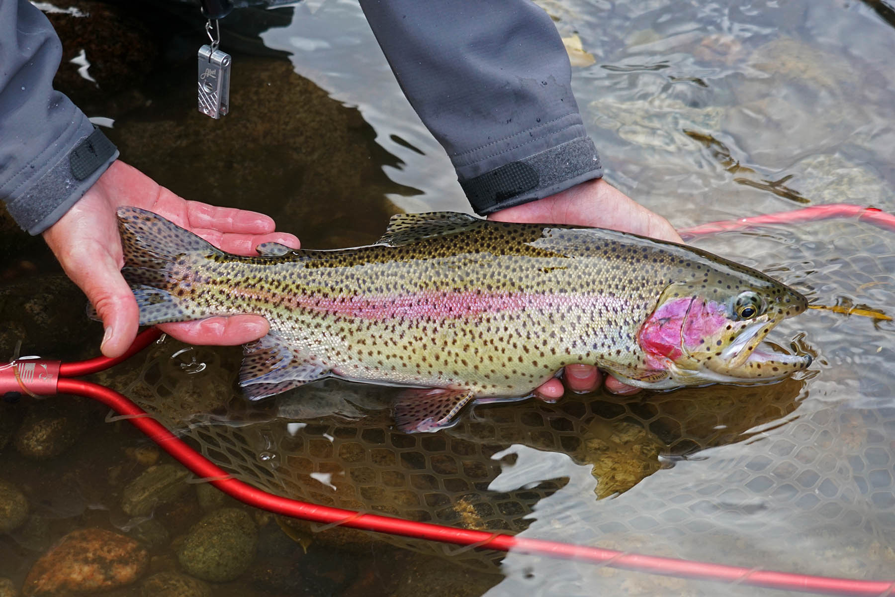 Pass Creek Ranch property picture 48 of 87