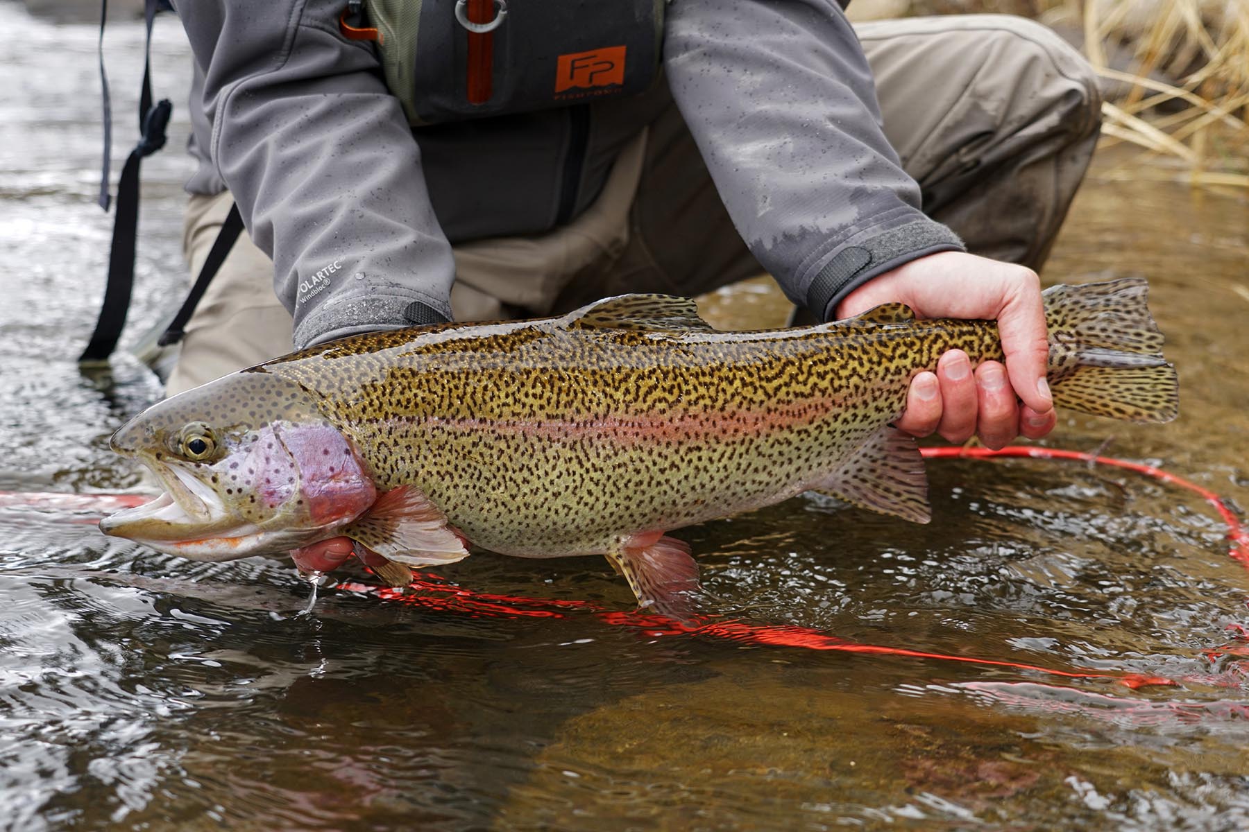 Pass Creek Ranch property picture 30 of 87