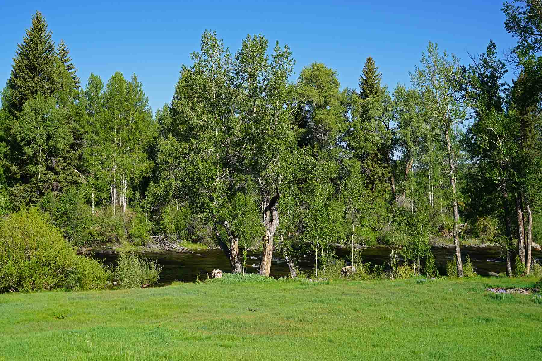 Pass Creek Ranch property picture 62 of 87