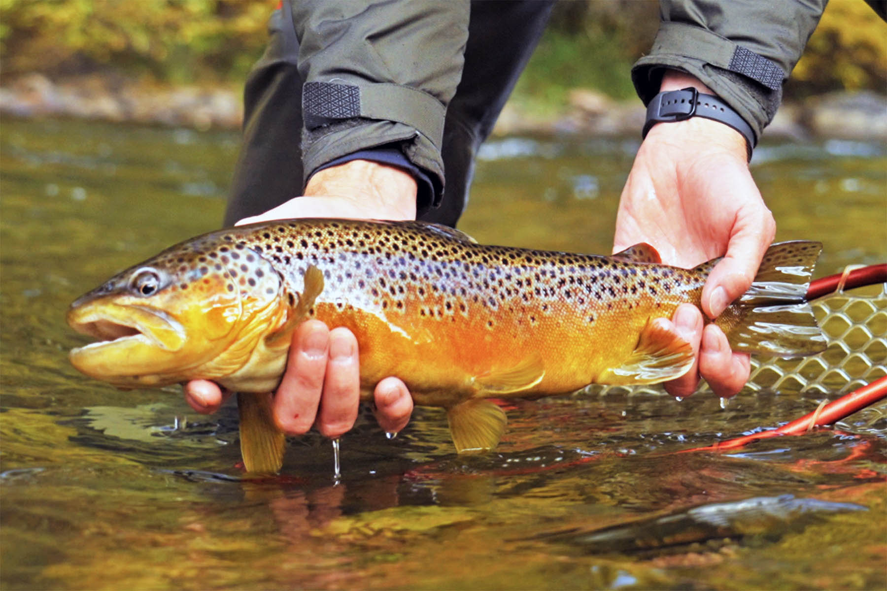 Pass Creek Ranch property picture 16 of 87