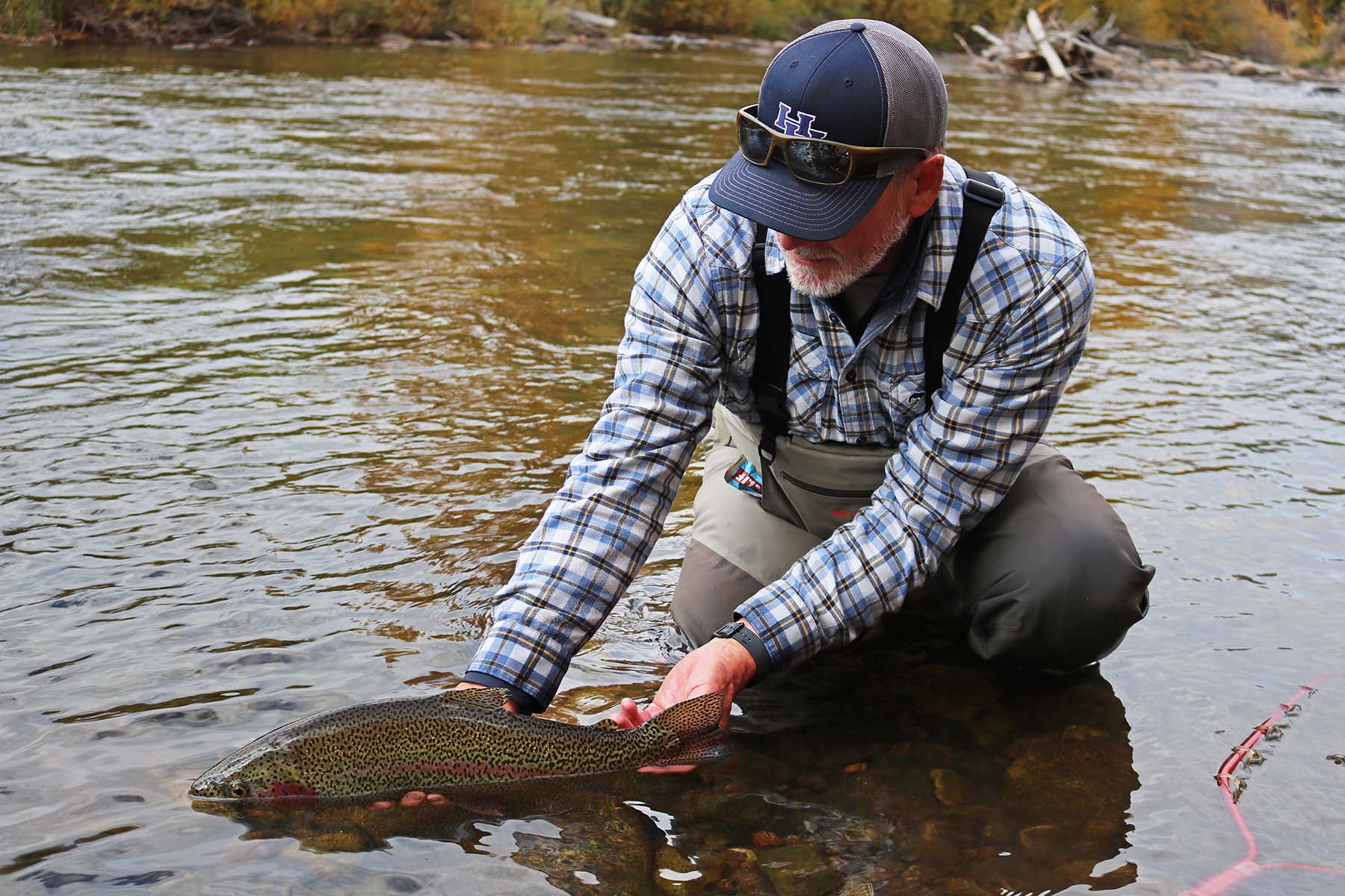 Pass Creek Ranch property picture 40 of 87