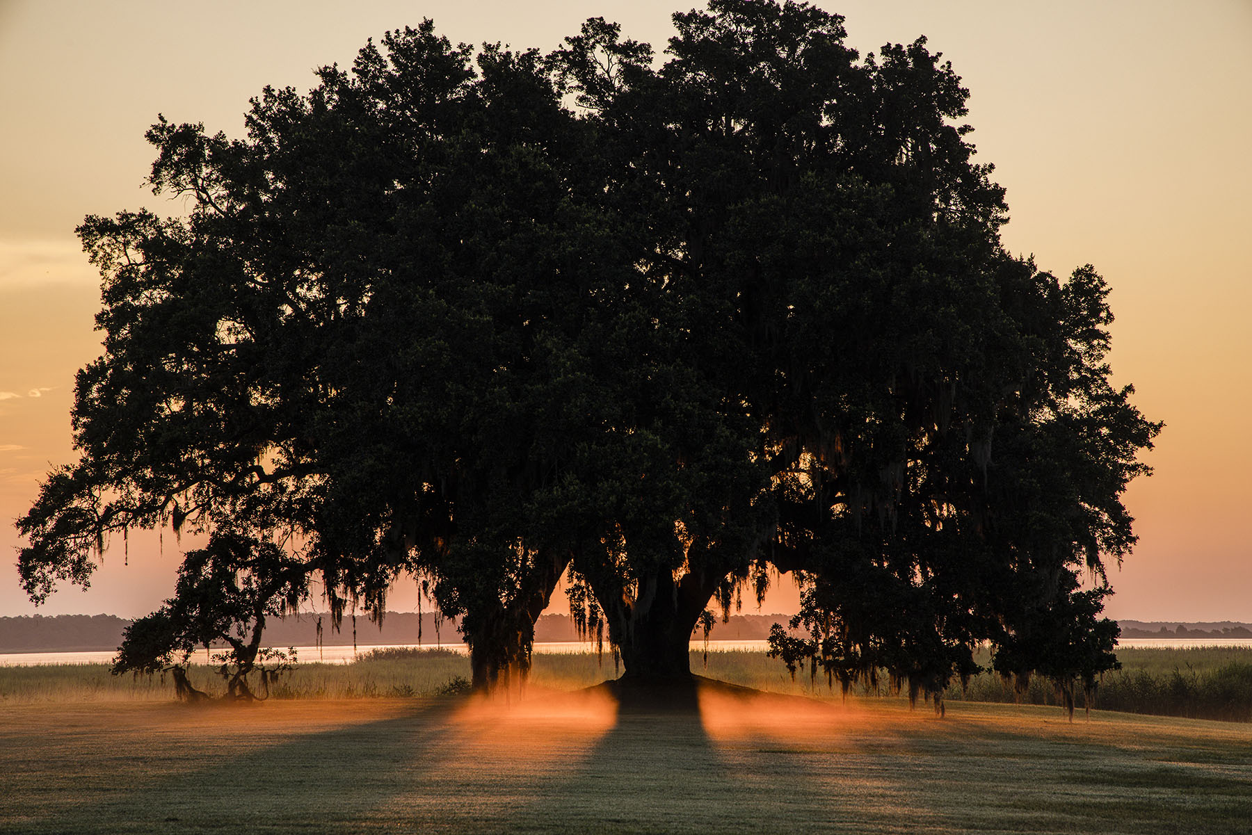 Dover property picture 2 of 119