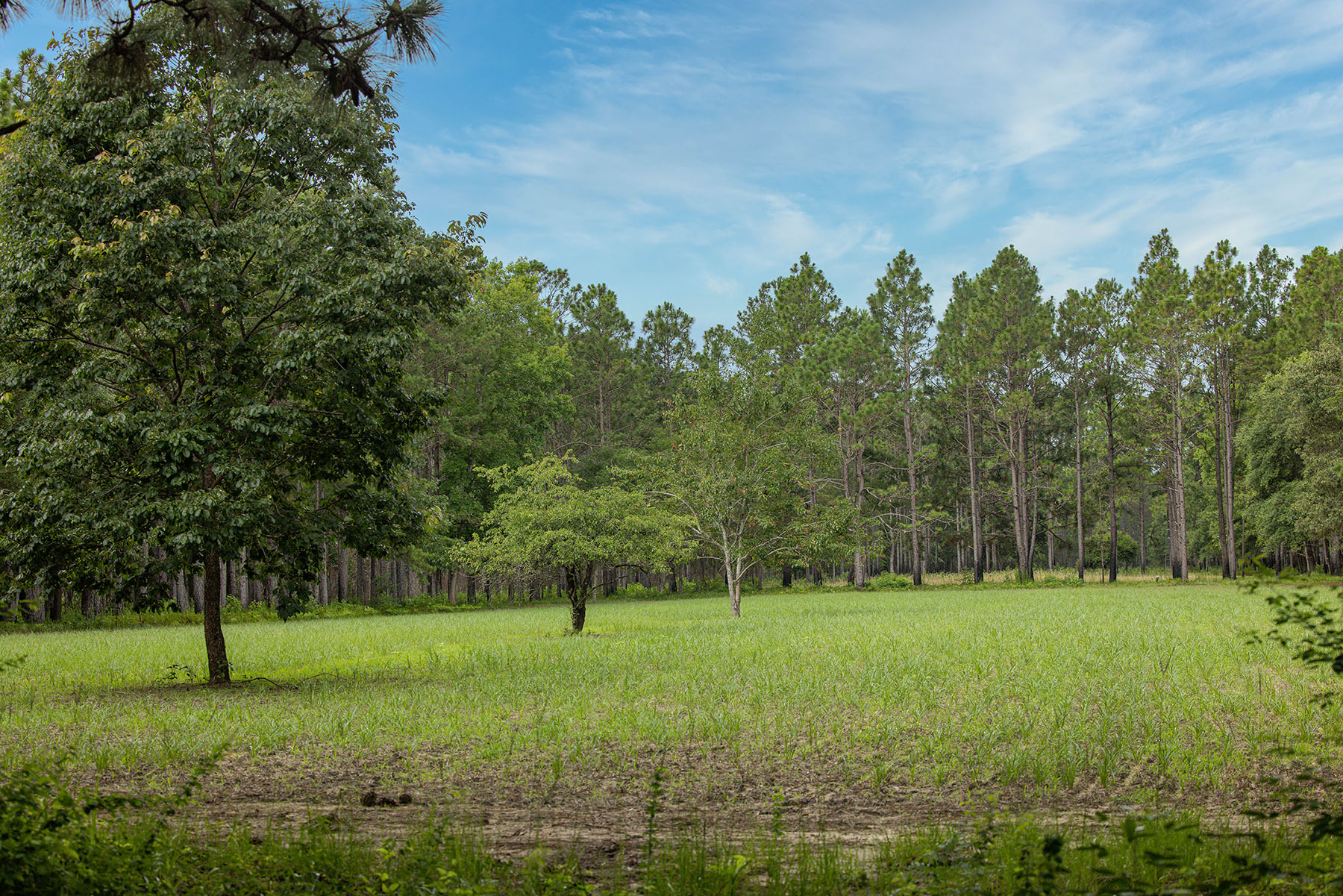 Dover property picture 25 of 119