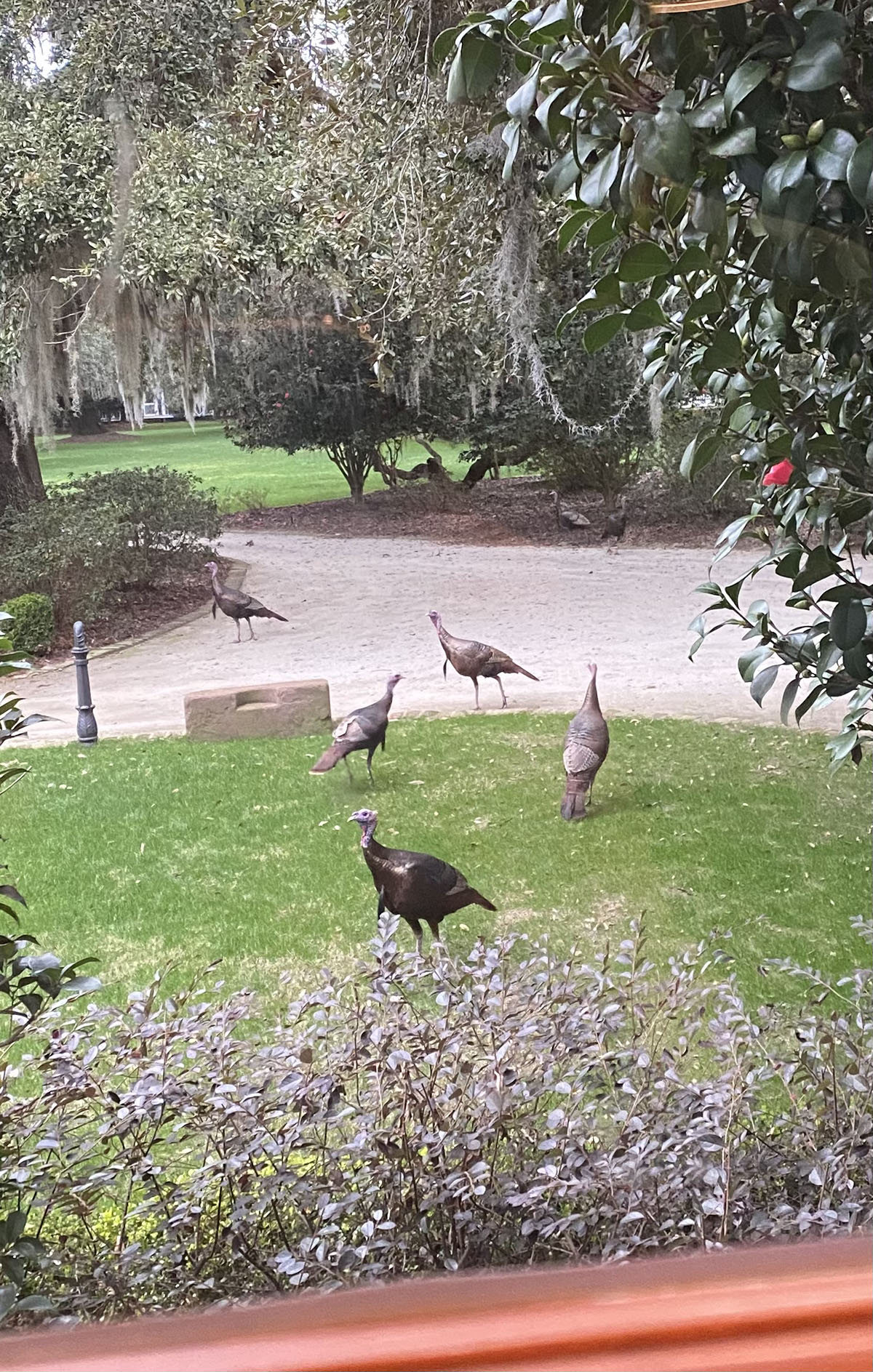 Dover property picture 114 of 119