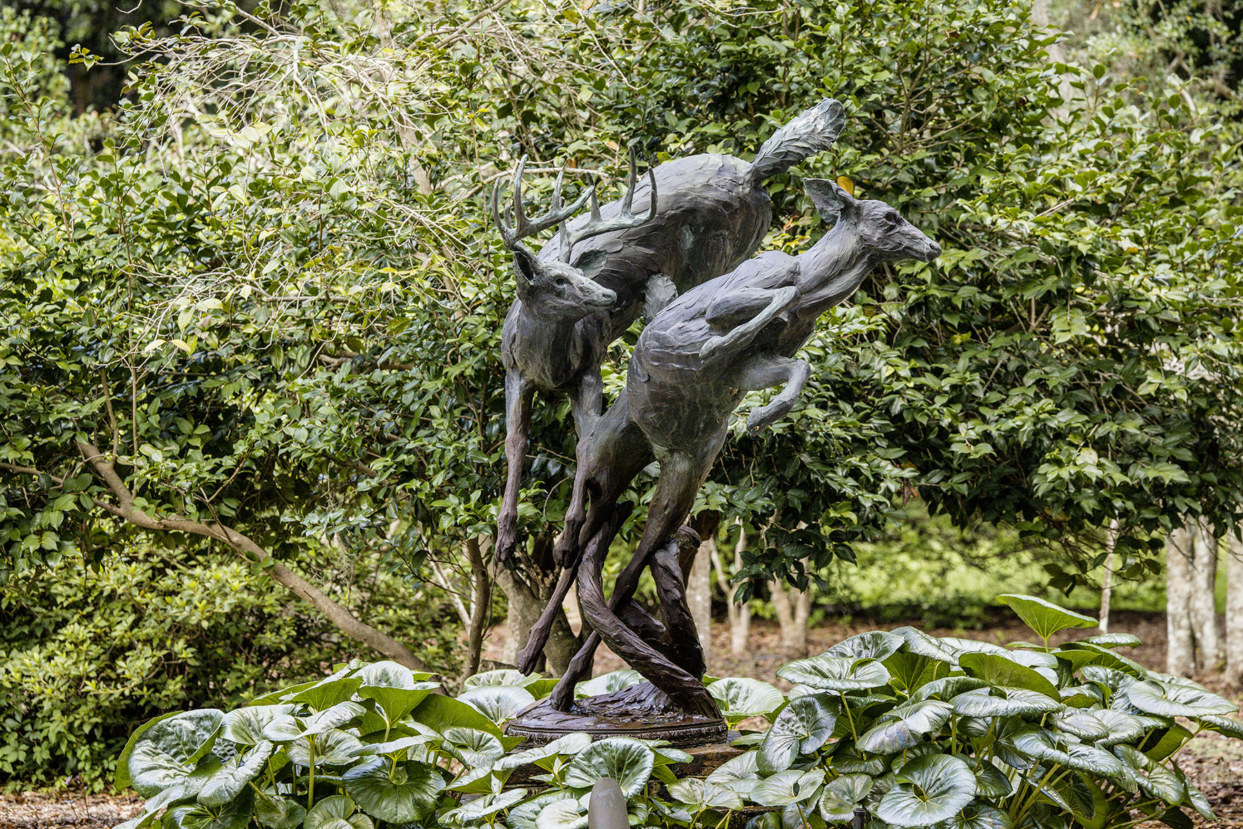 Dover property picture 104 of 119