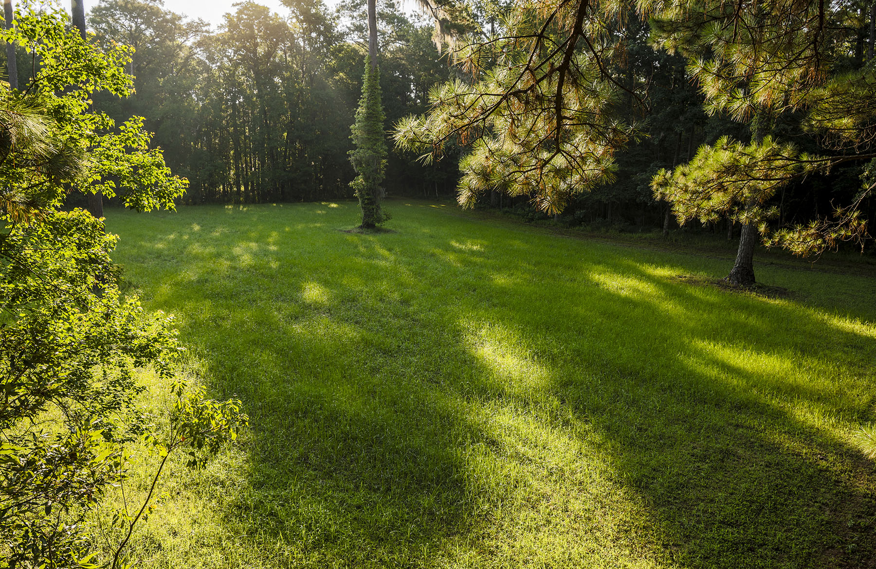 Dover property picture 110 of 119