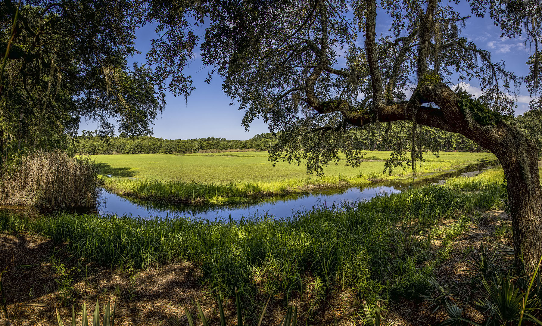 Dover property picture 28 of 119