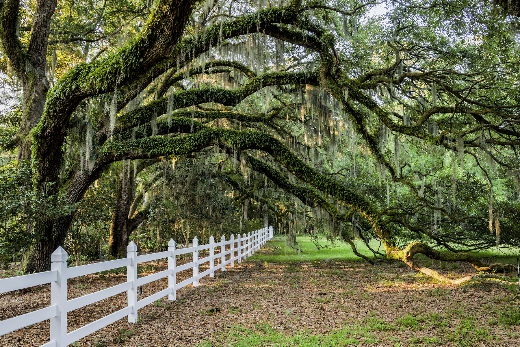 Dover property picture 99 of 119