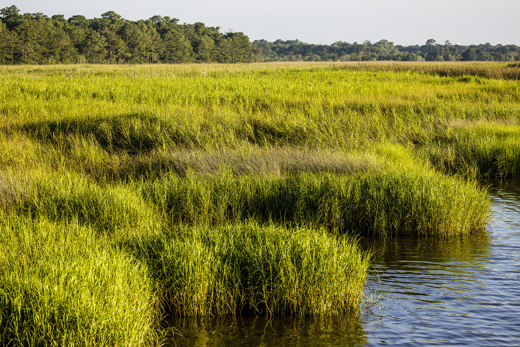 Dover property picture 102 of 119