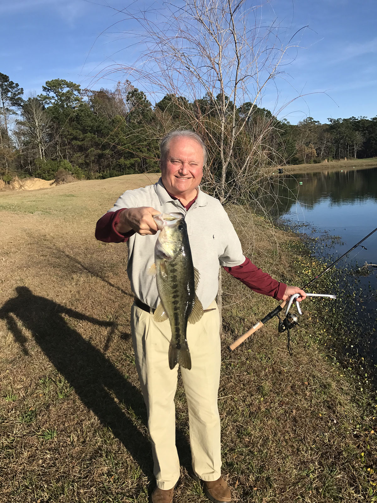 Dover property picture 21 of 119