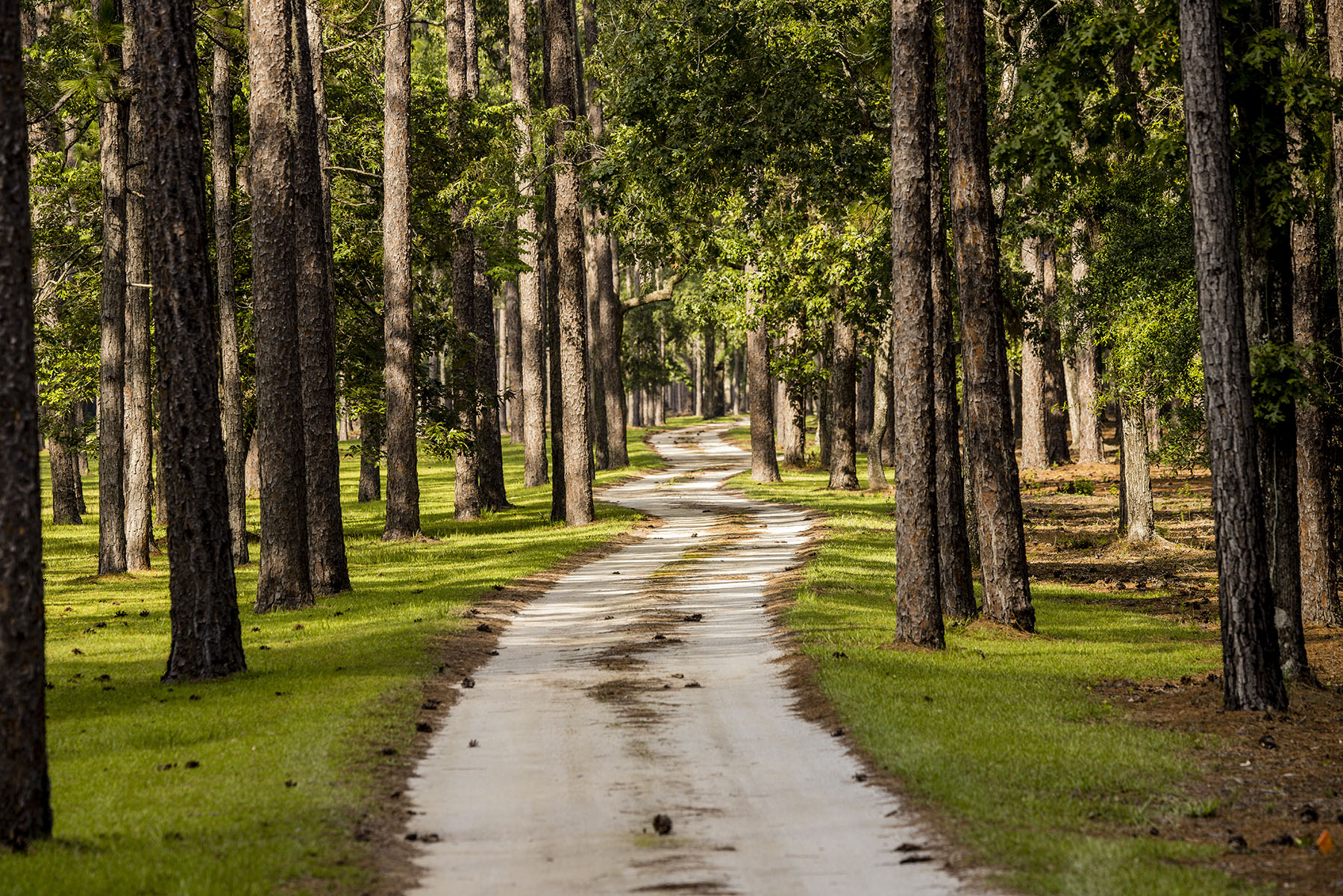 Dover property picture 5 of 119