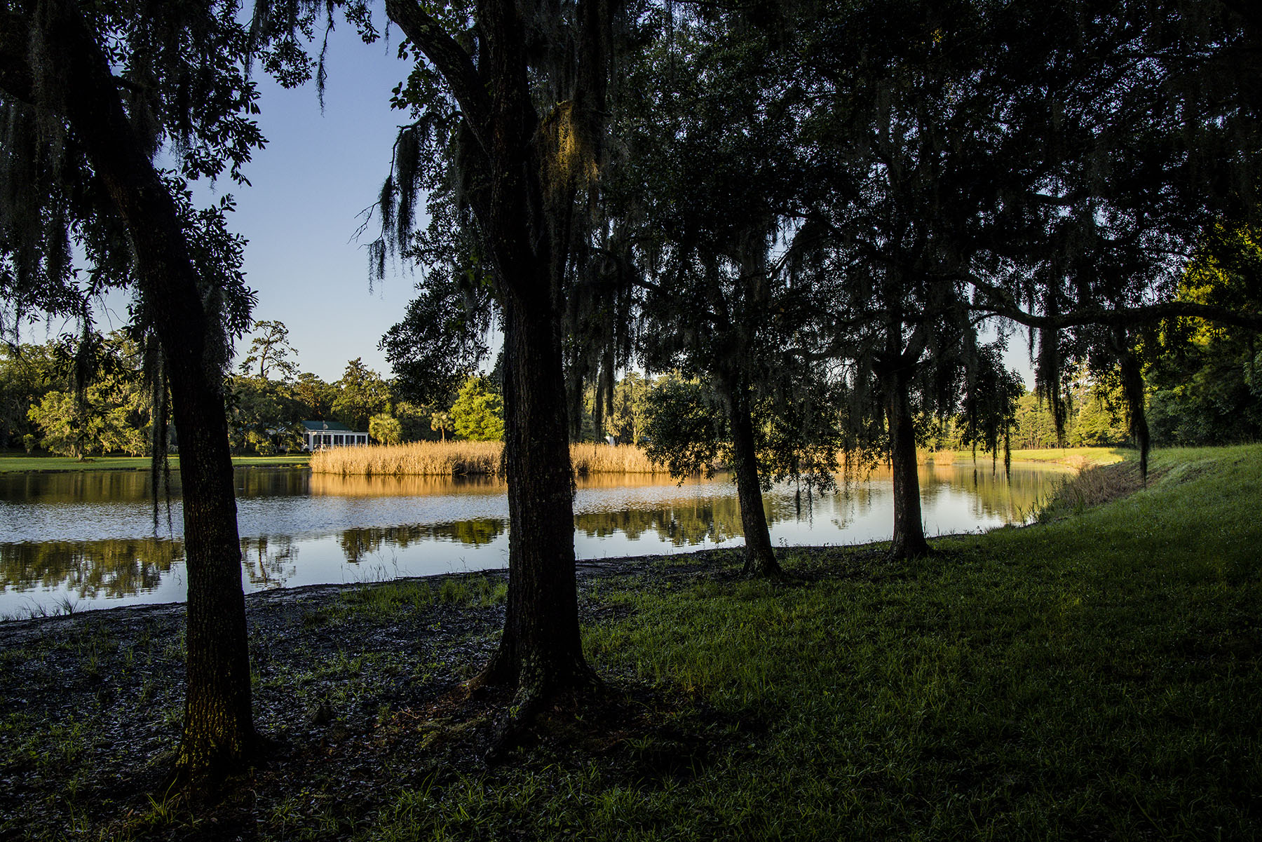 Dover property picture 100 of 119