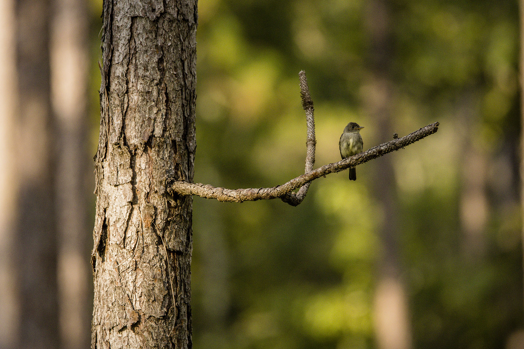 Dover property picture 17 of 119