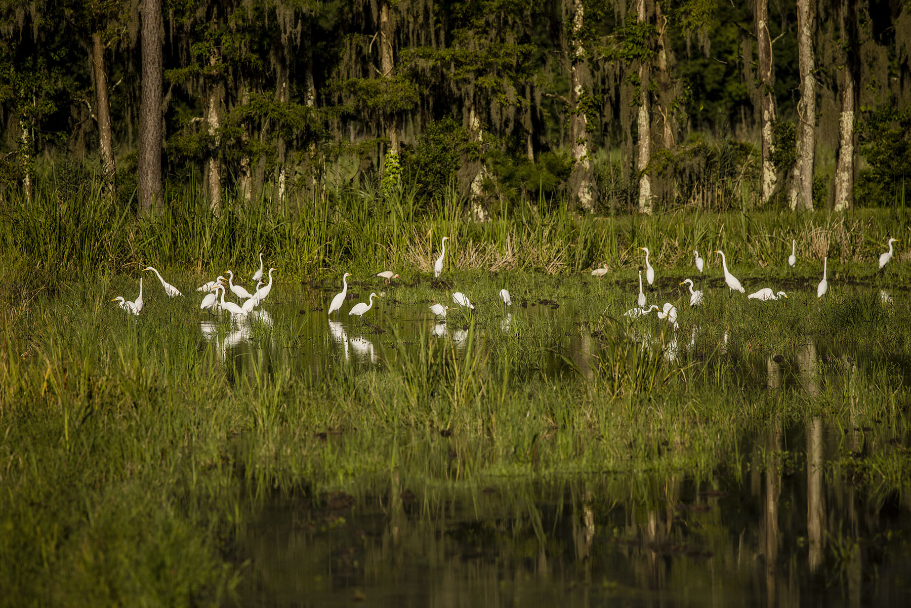 Dover property picture 116 of 119