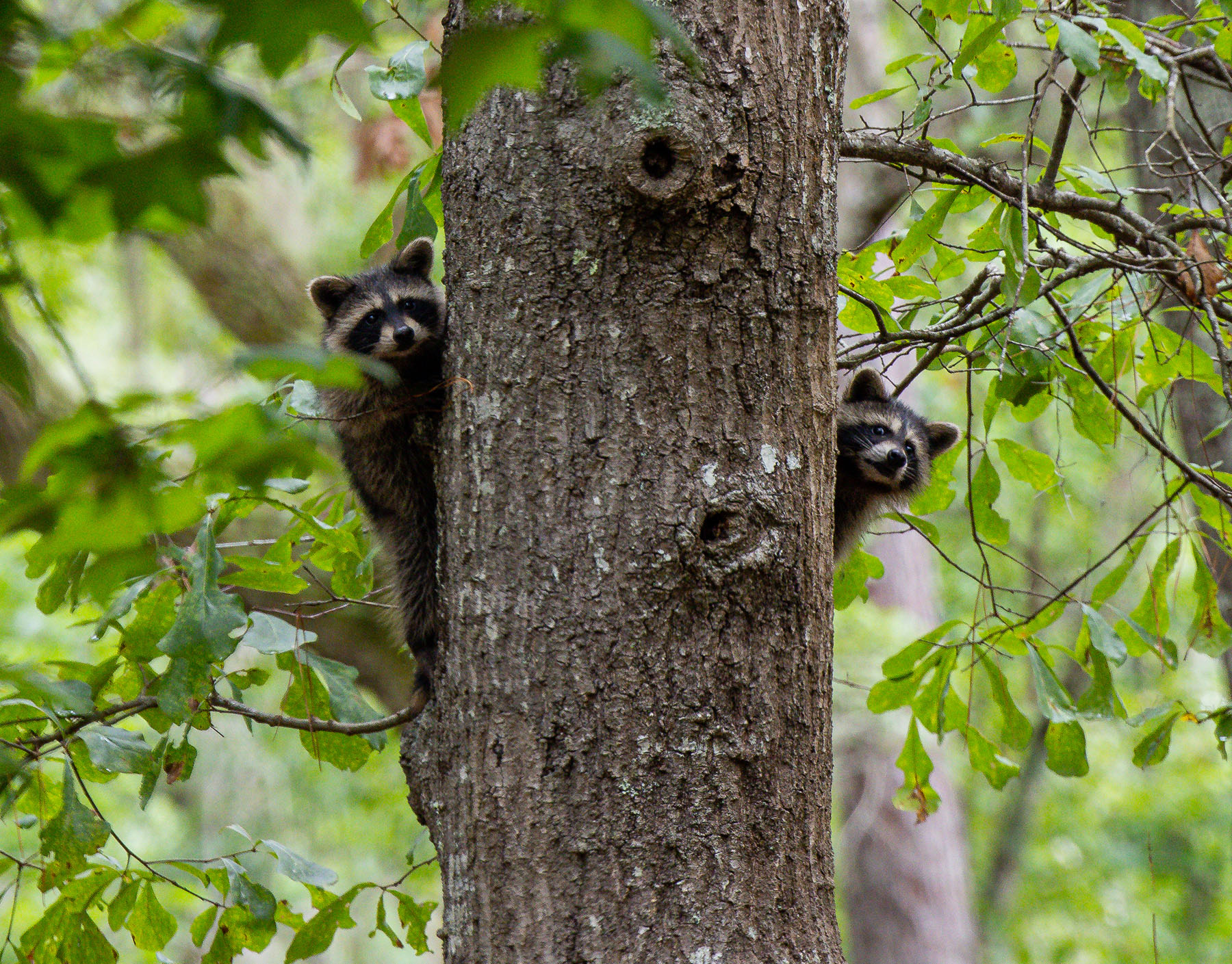 Dover property picture 18 of 119