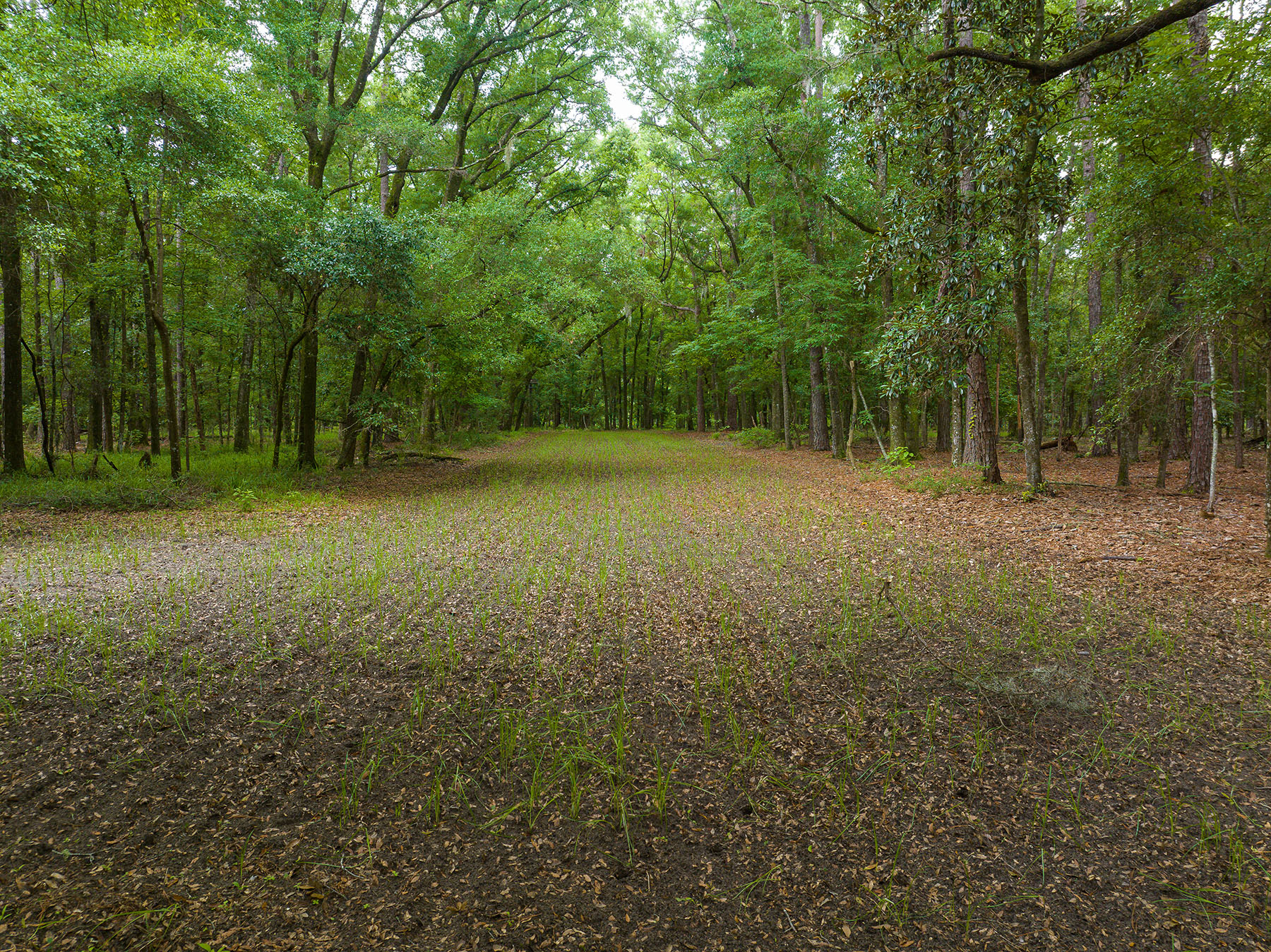 Dover property picture 111 of 119