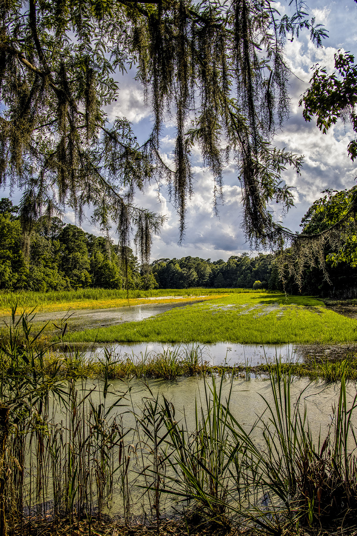 Dover property picture 13 of 119