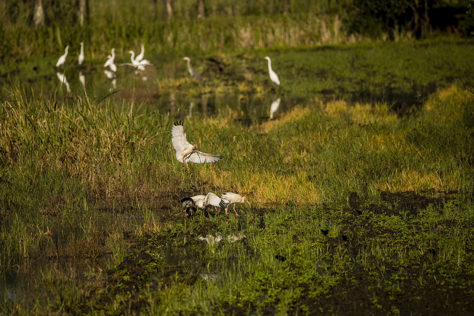 Dover property picture 7 of 119