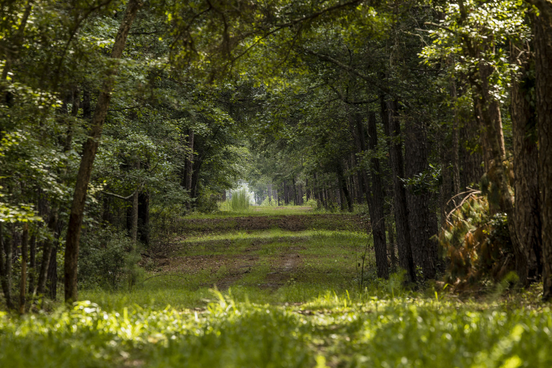 Dover property picture 24 of 119