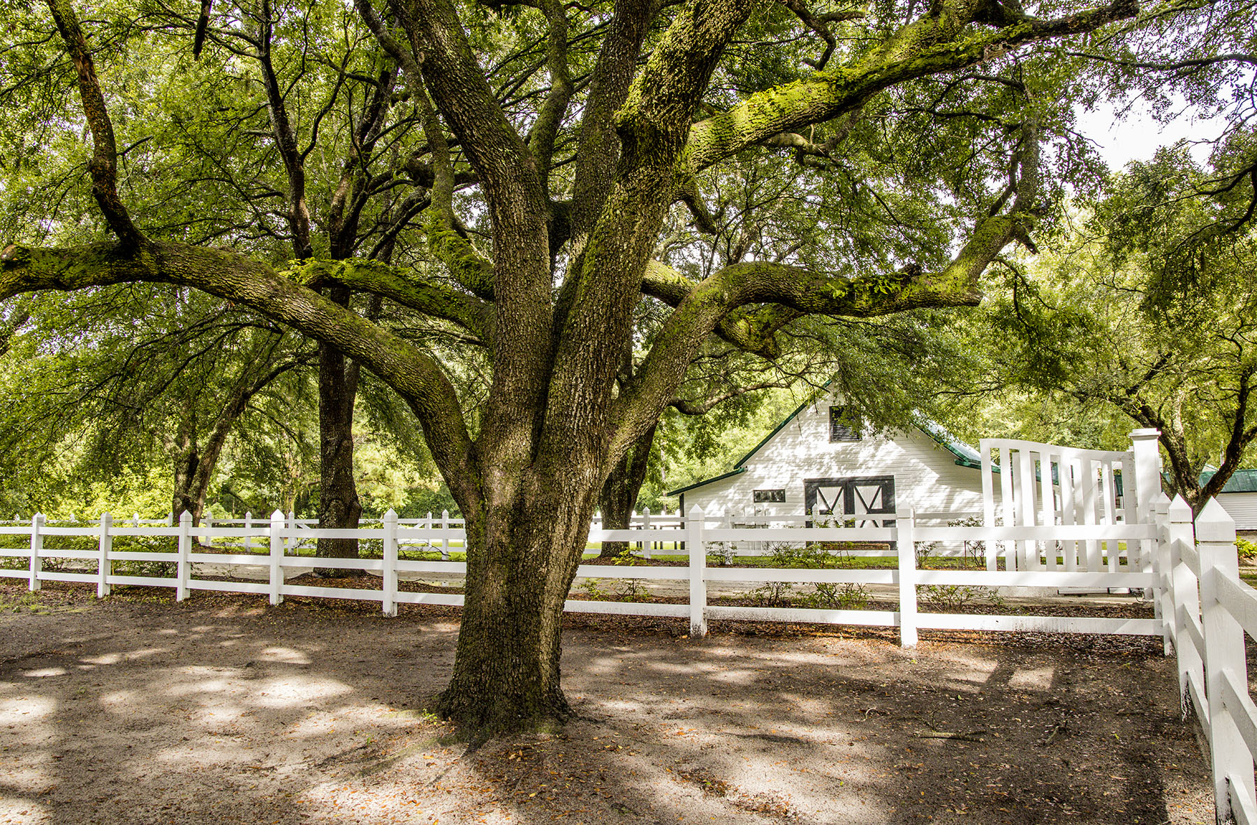 Dover property picture 98 of 119