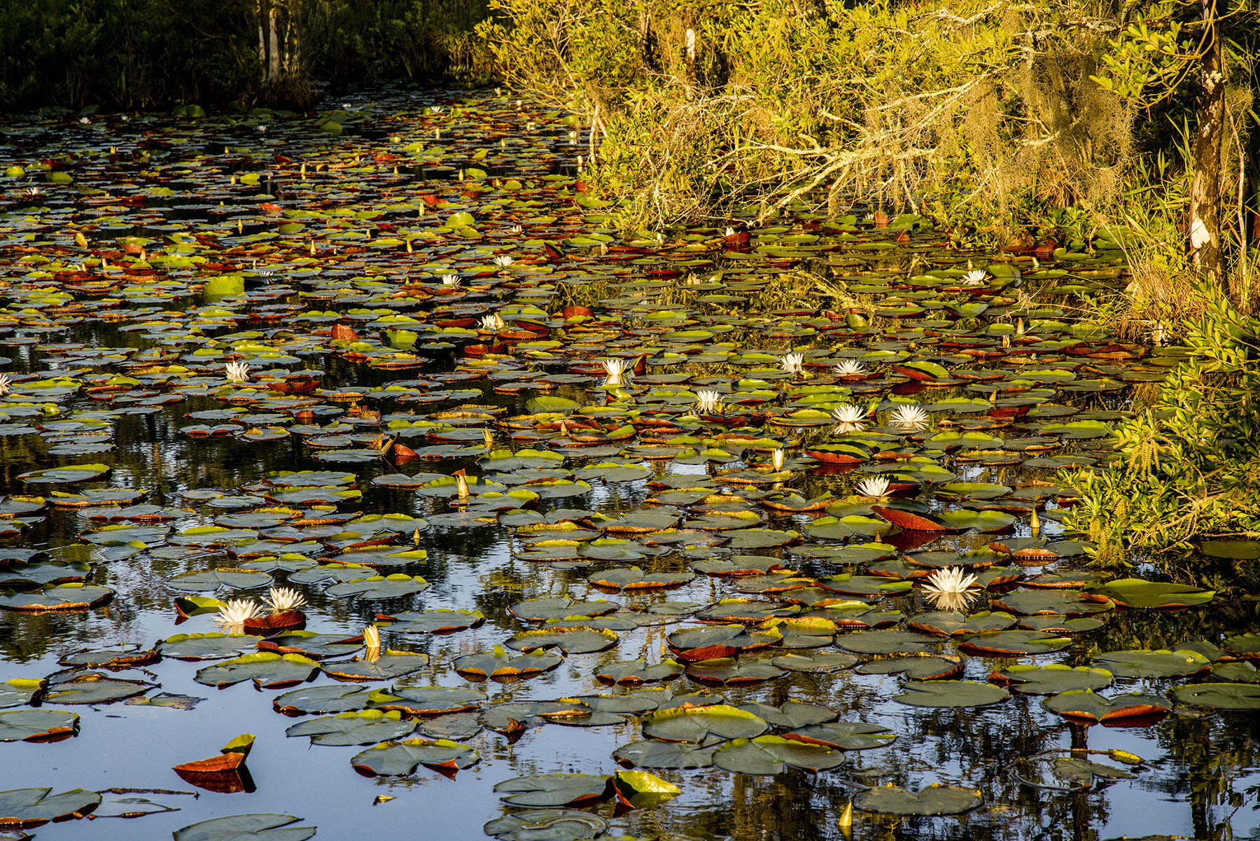 Dover property picture 11 of 119