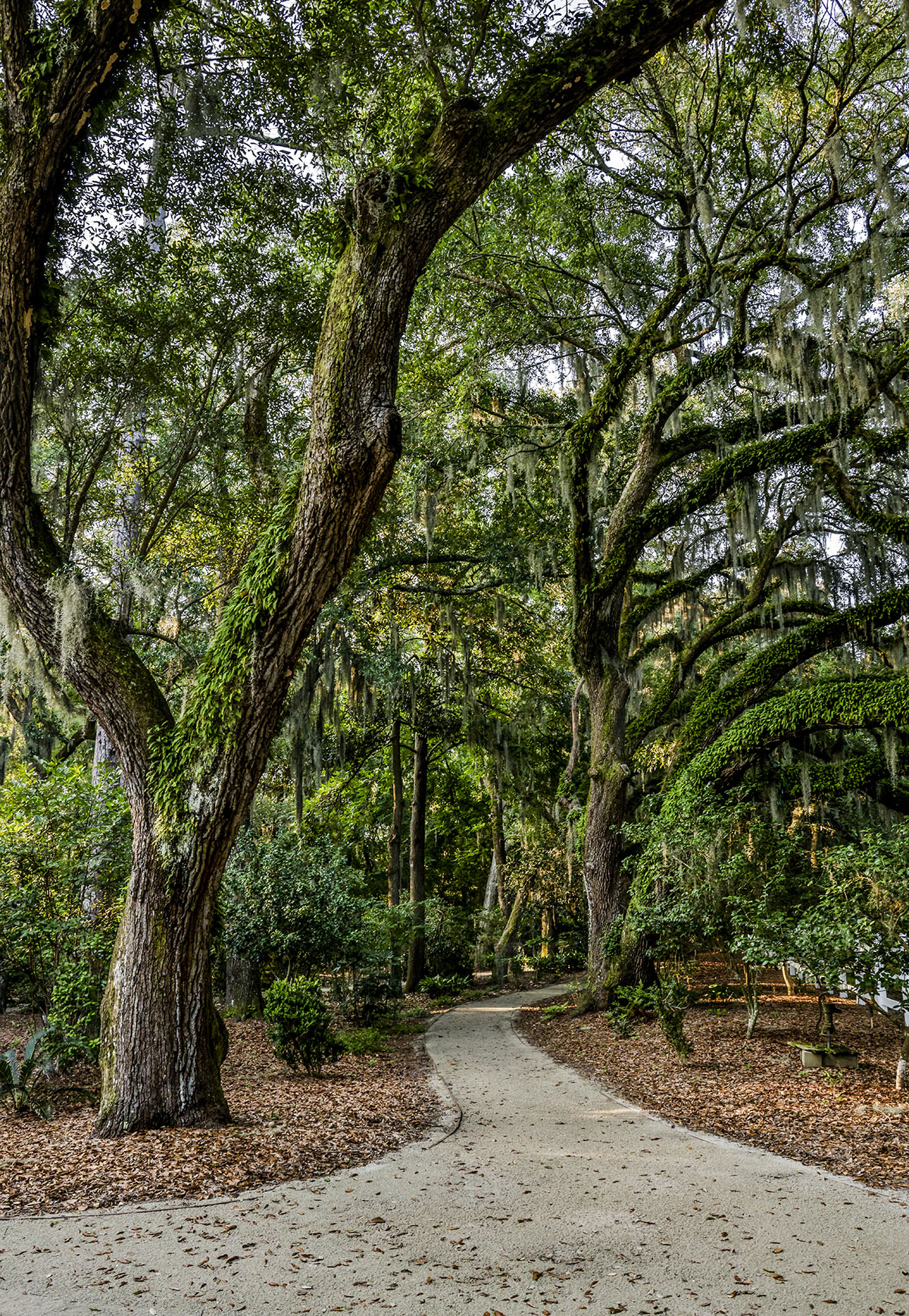 Dover property picture 16 of 119