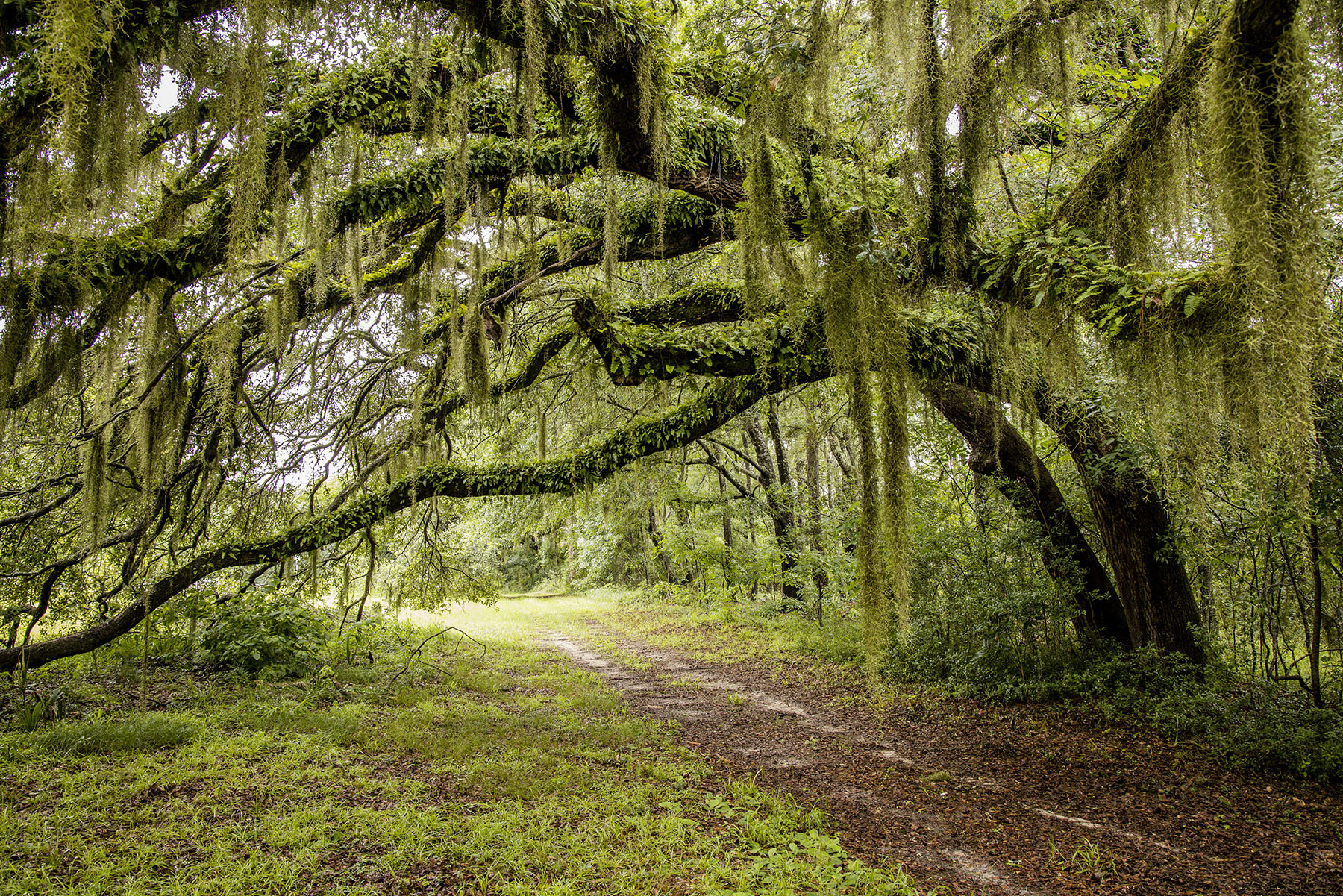 Dover property picture 109 of 119