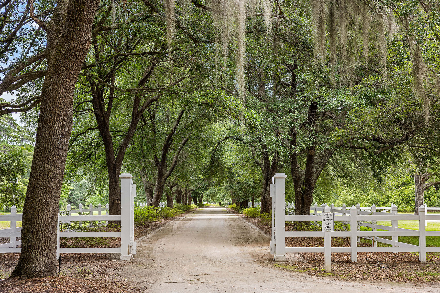 Dover property picture 4 of 119