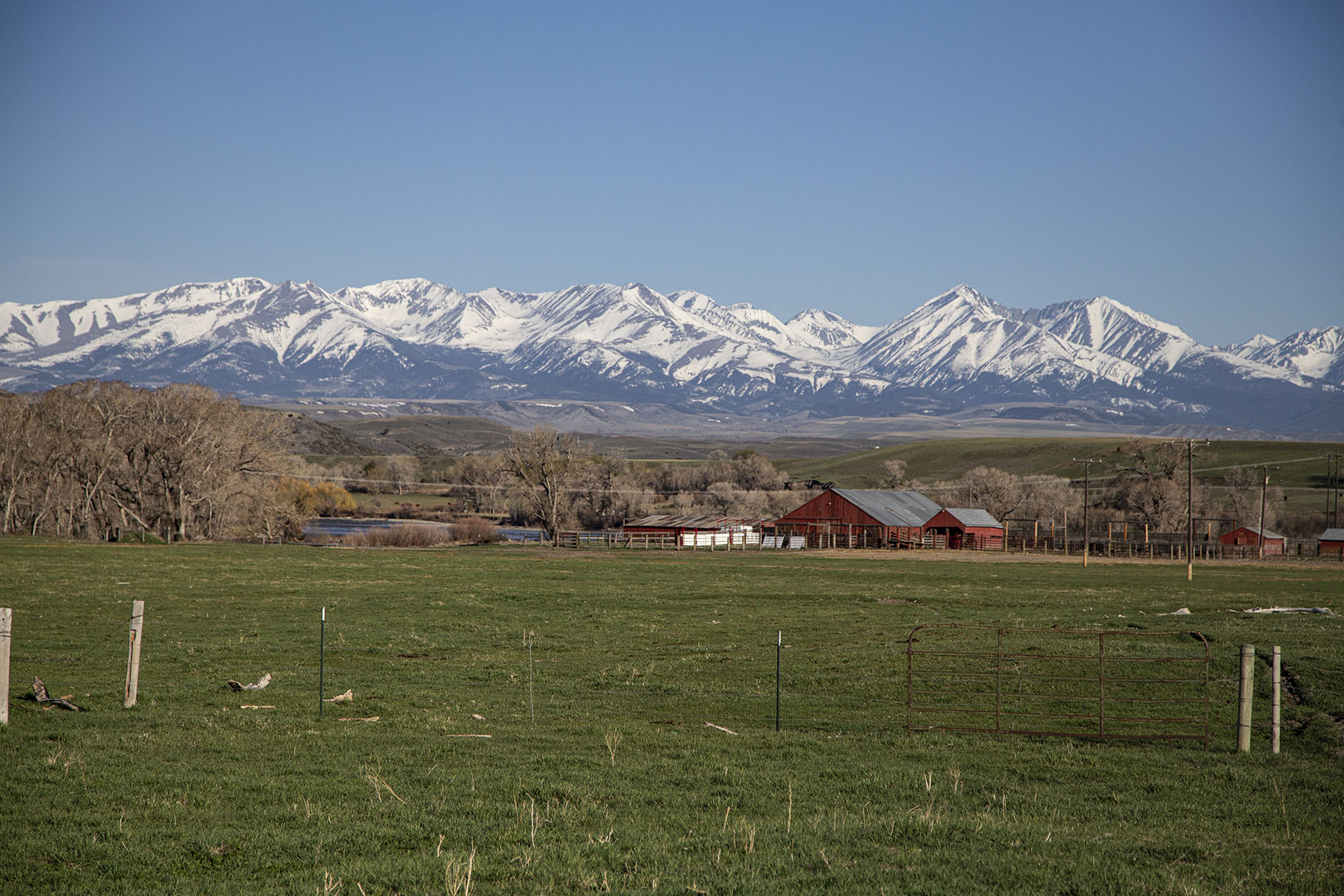 Sweet Grass Farm on the Yellowstone property picture 35 of 41