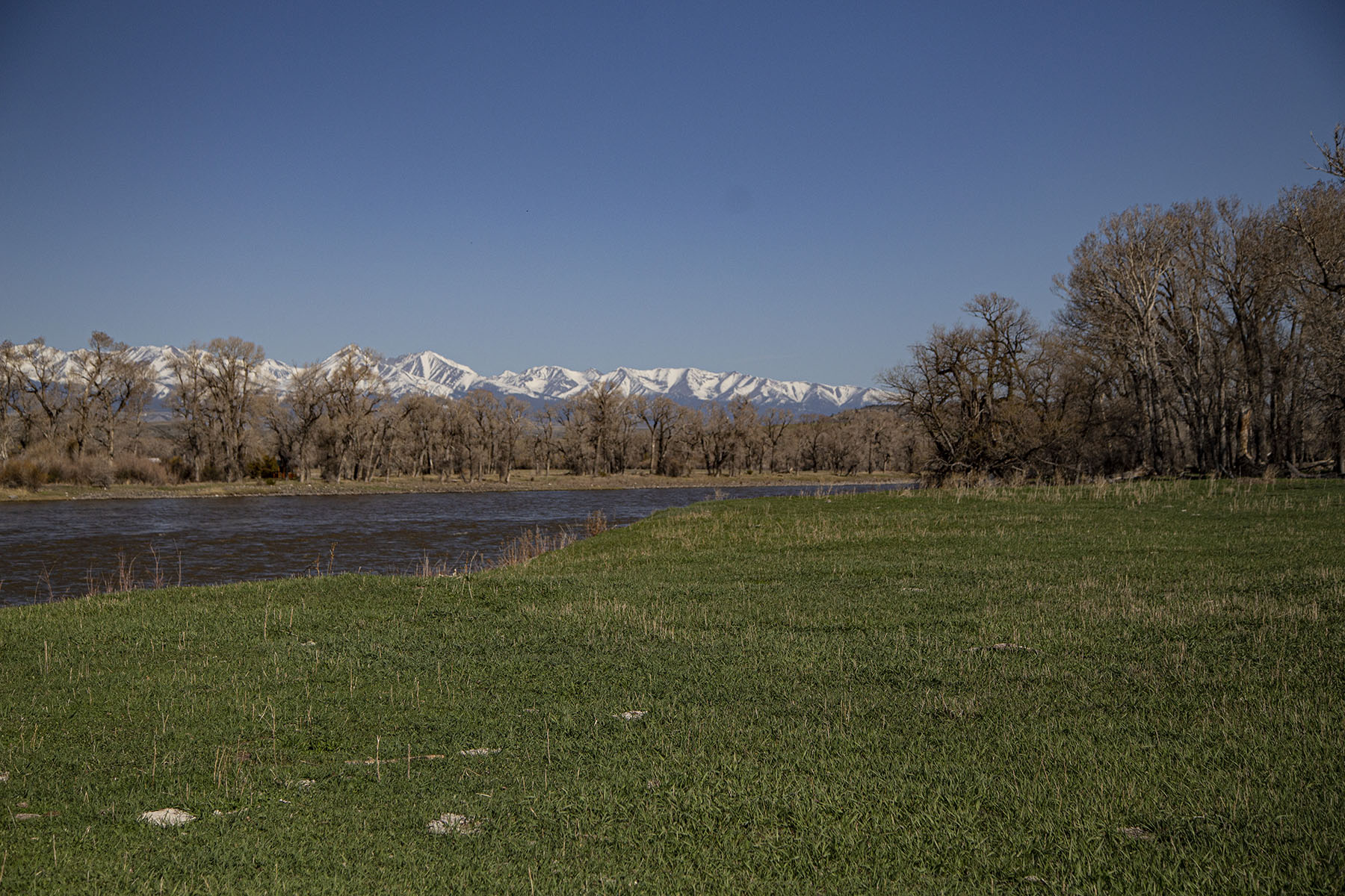 Sweet Grass Farm on the Yellowstone property picture 38 of 41