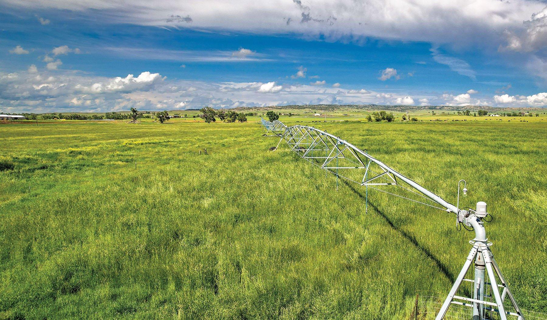 Sweet Grass Farm on the Yellowstone property picture 16 of 41