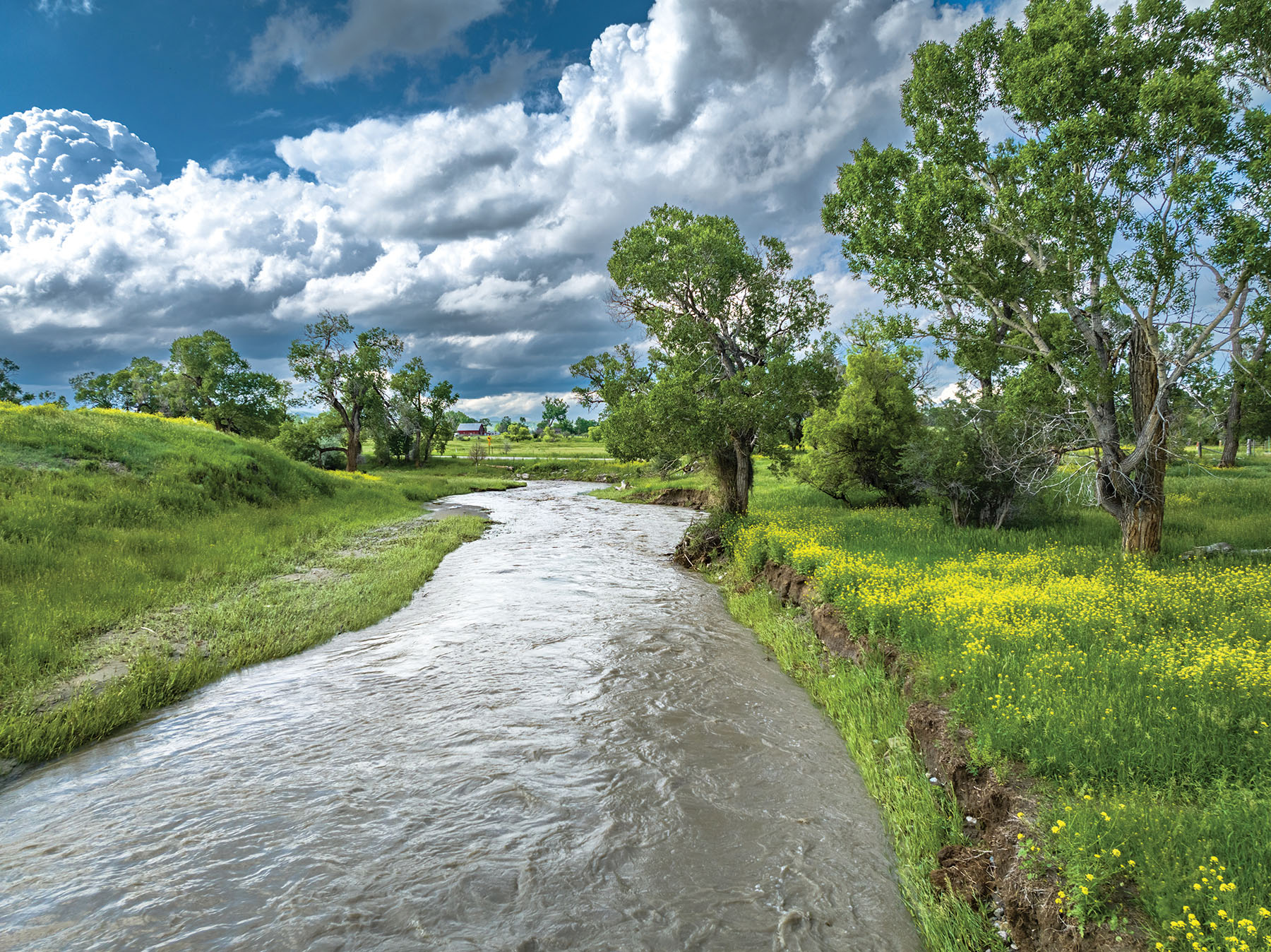Sweet Grass Farm on the Yellowstone property picture 19 of 41