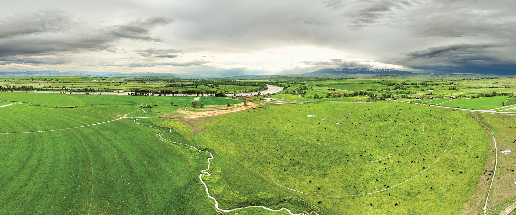 Sweet Grass Farm on the Yellowstone property picture 22 of 41