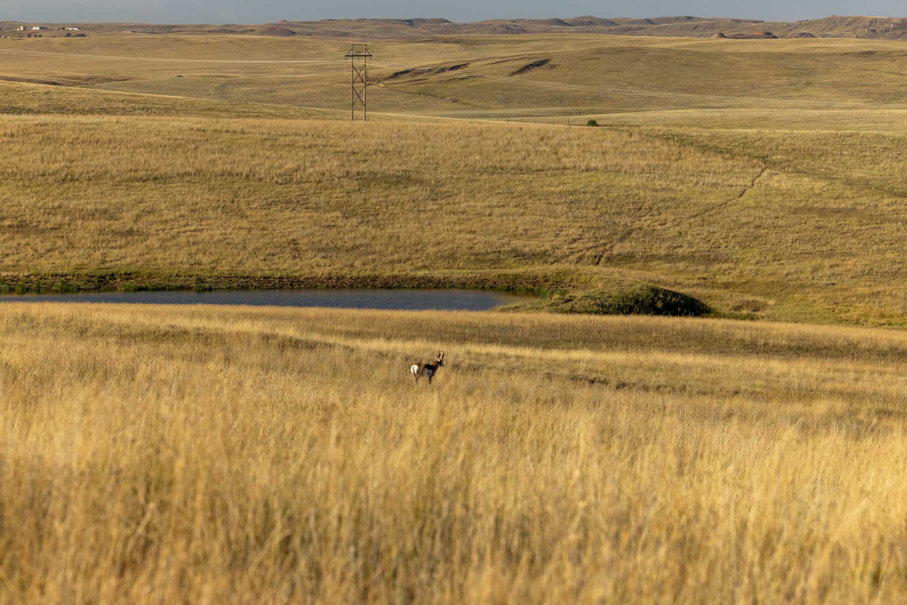 Landeck Property property picture 3 of 27