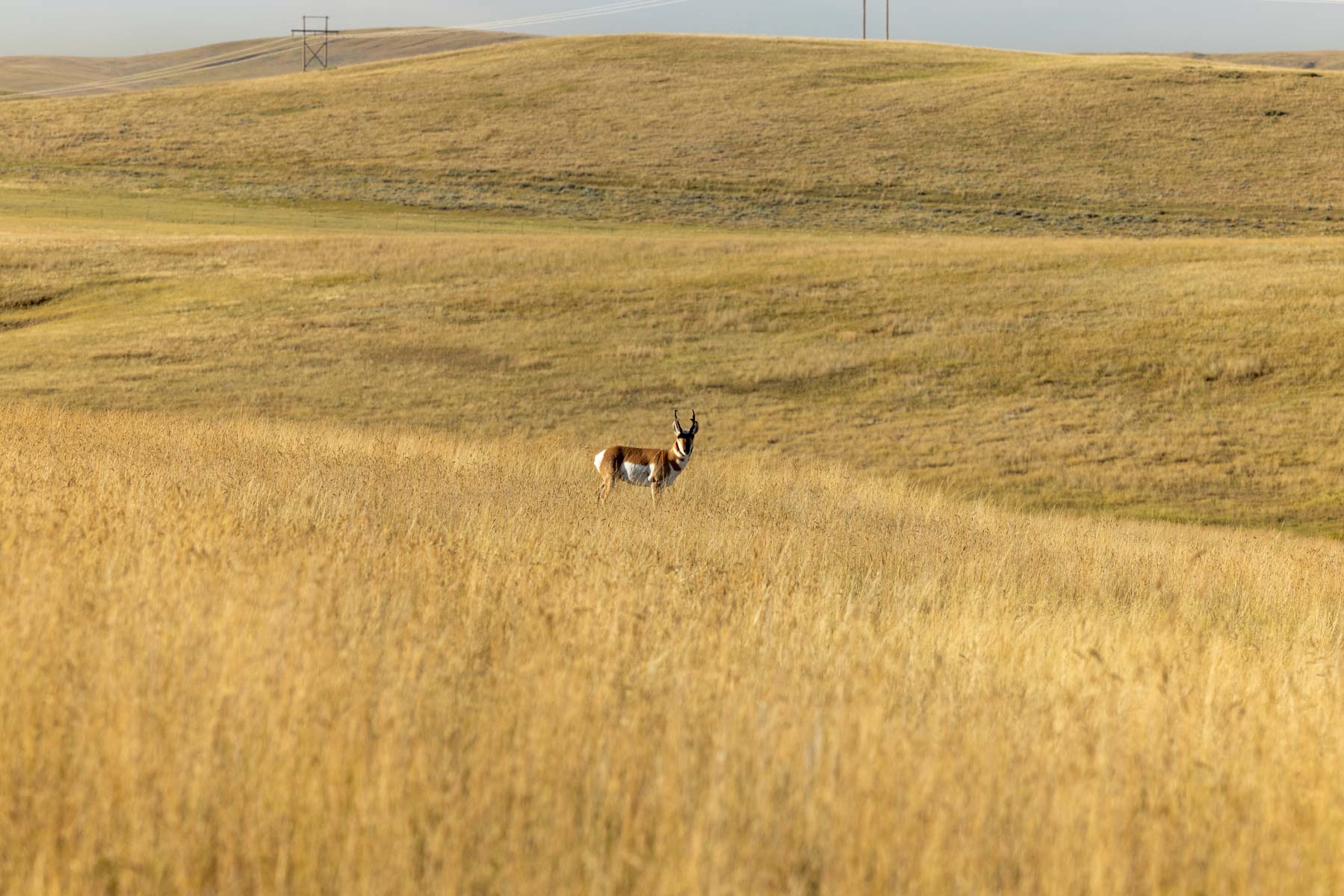 Landeck Property property picture 2 of 27