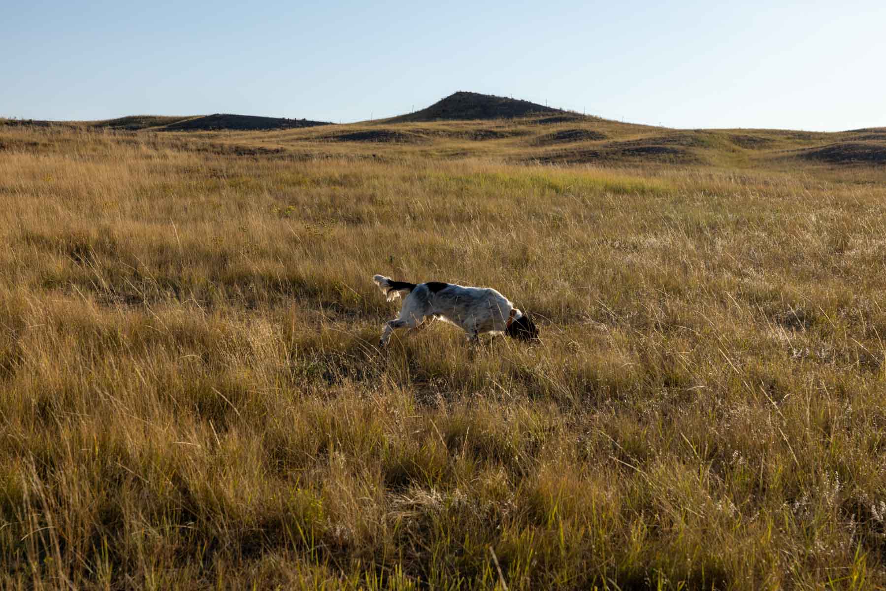 Landeck Property property picture 27 of 27