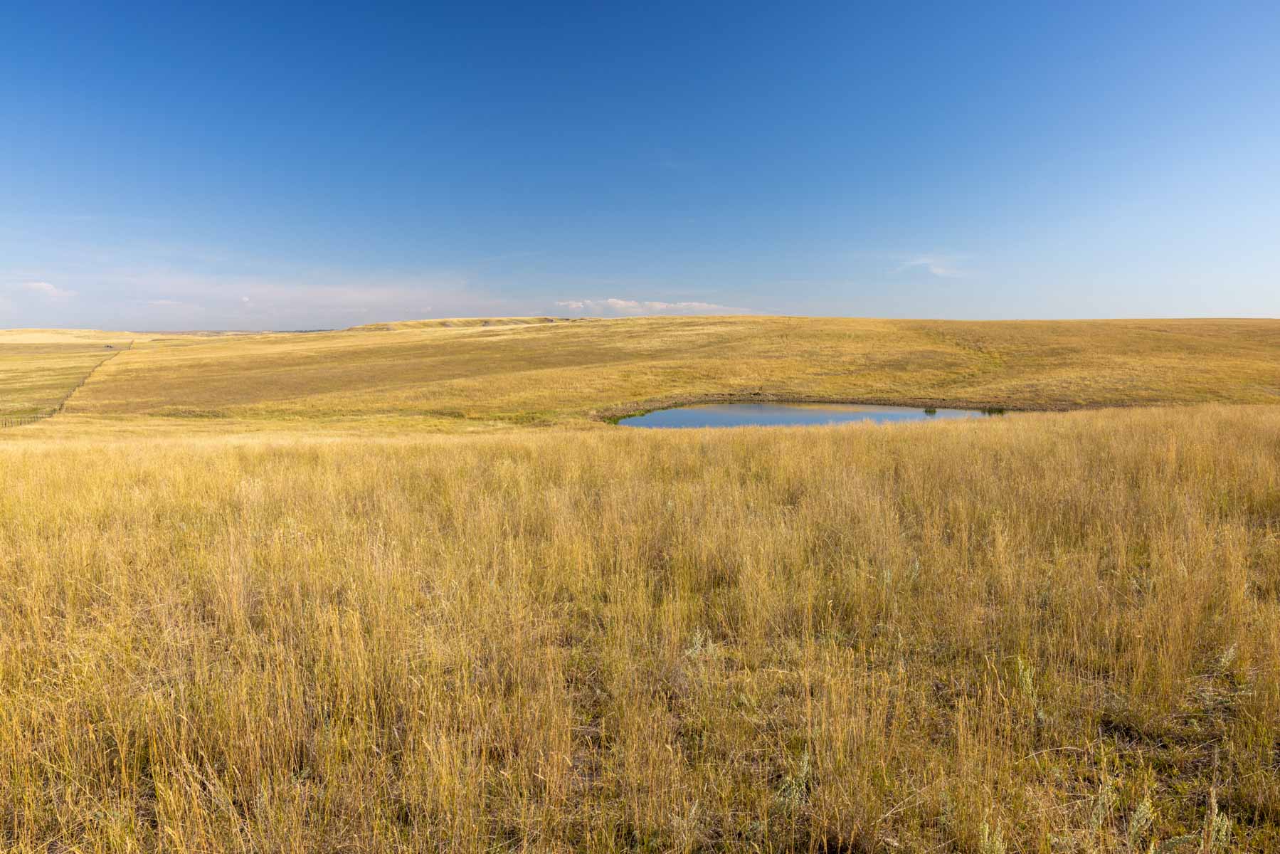 Landeck Property property picture 7 of 27