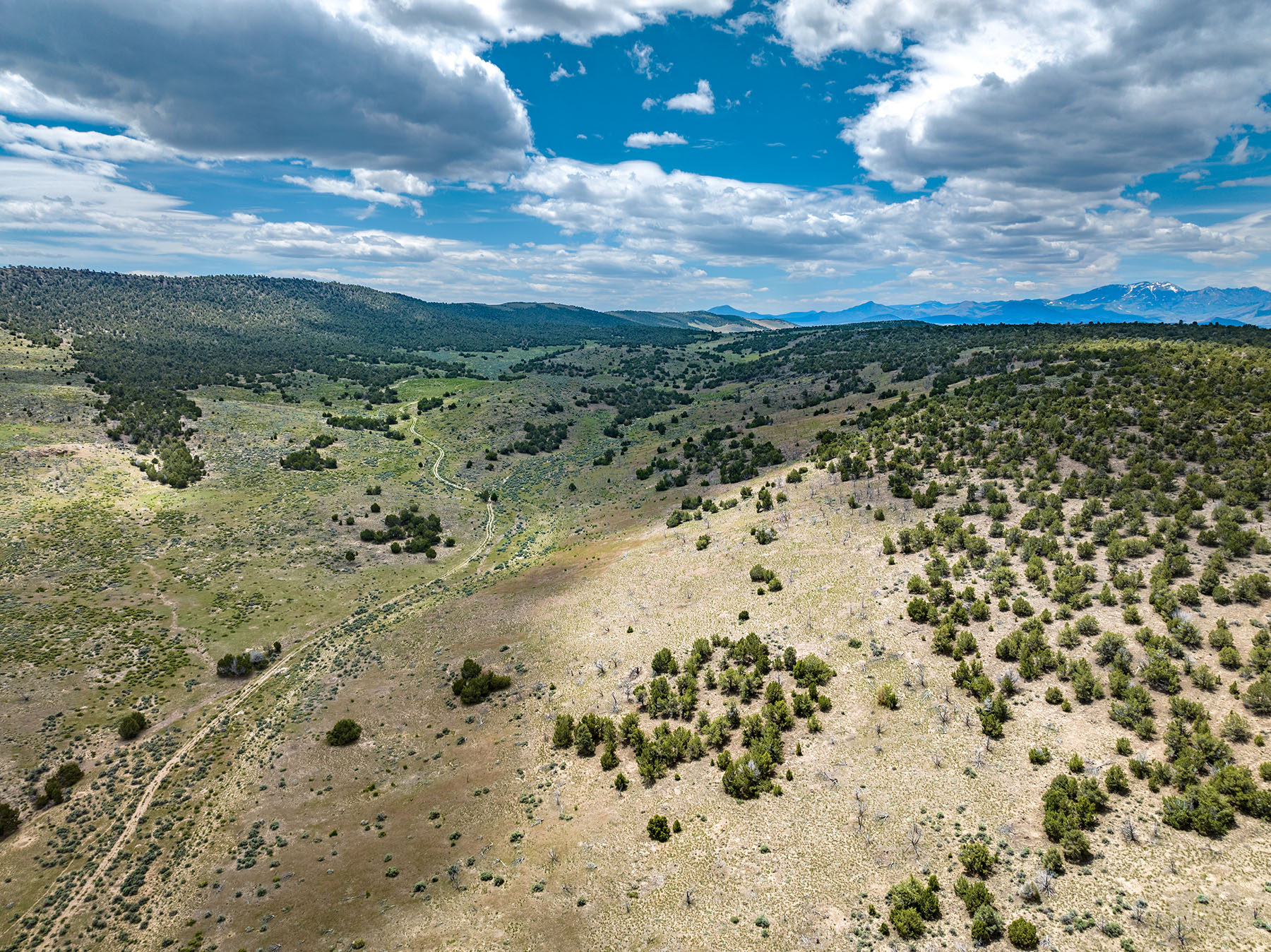 Diamond Springs Ranch property picture 41 of 48