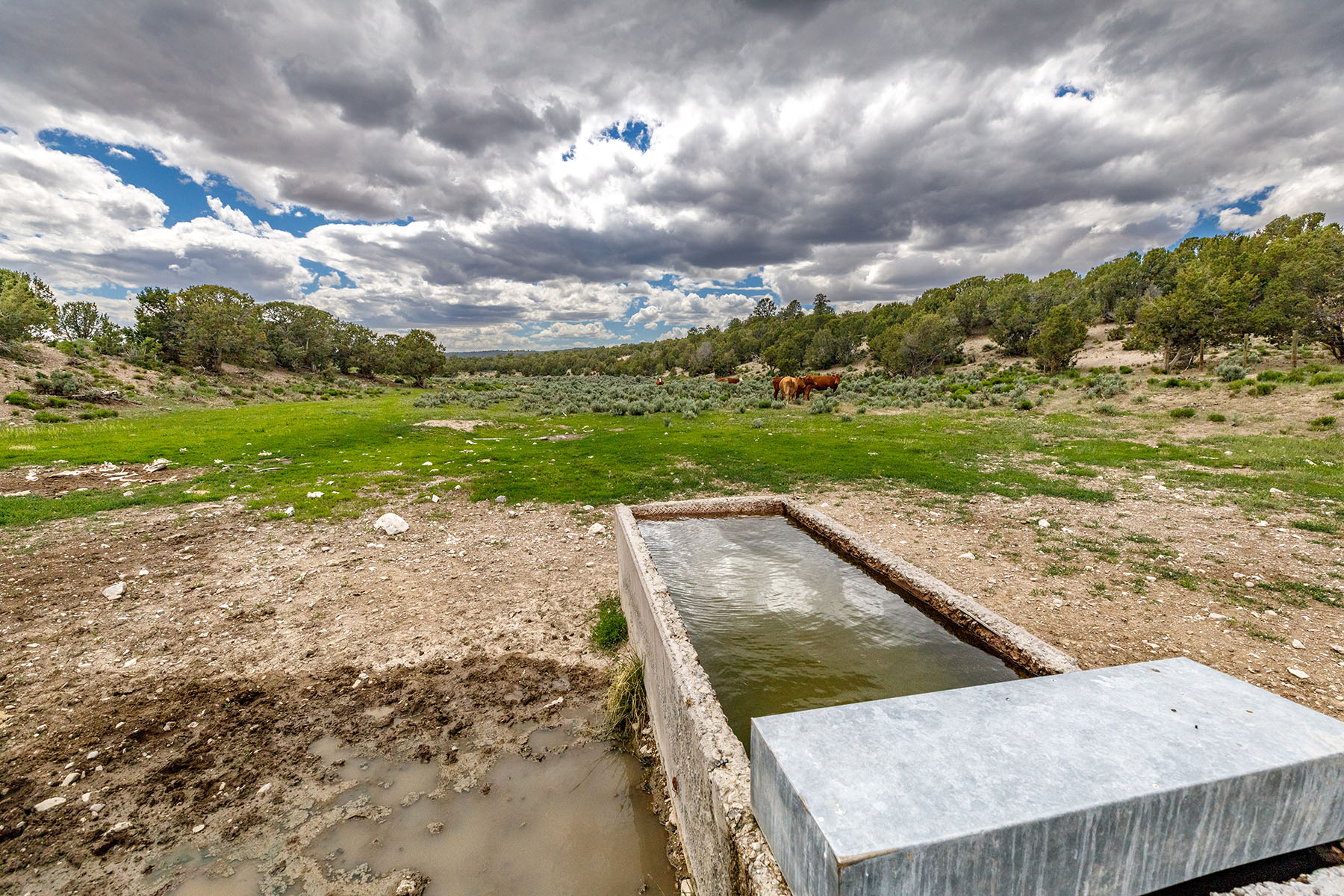 Diamond Springs Ranch property picture 24 of 48