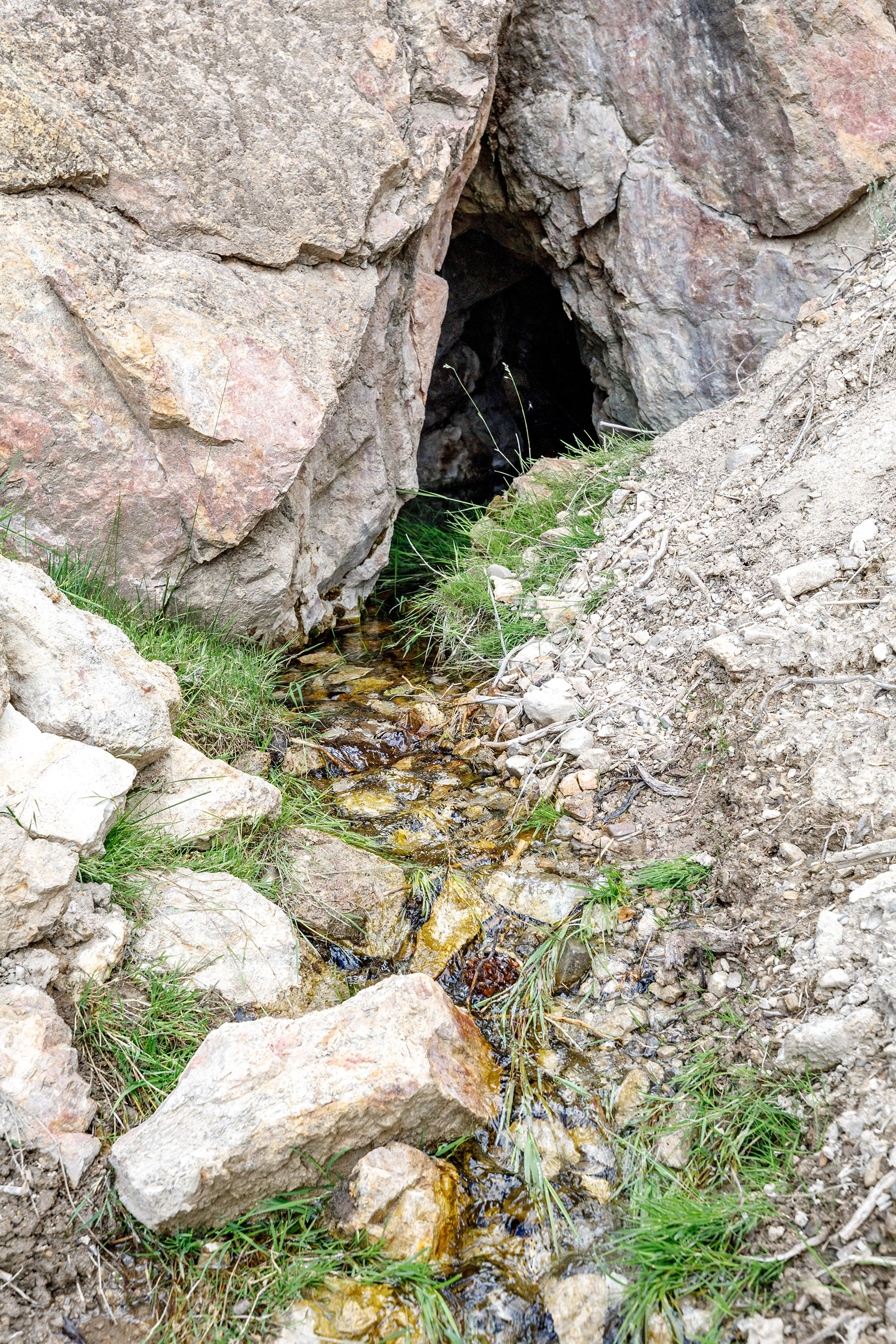 Diamond Springs Ranch property picture 45 of 48