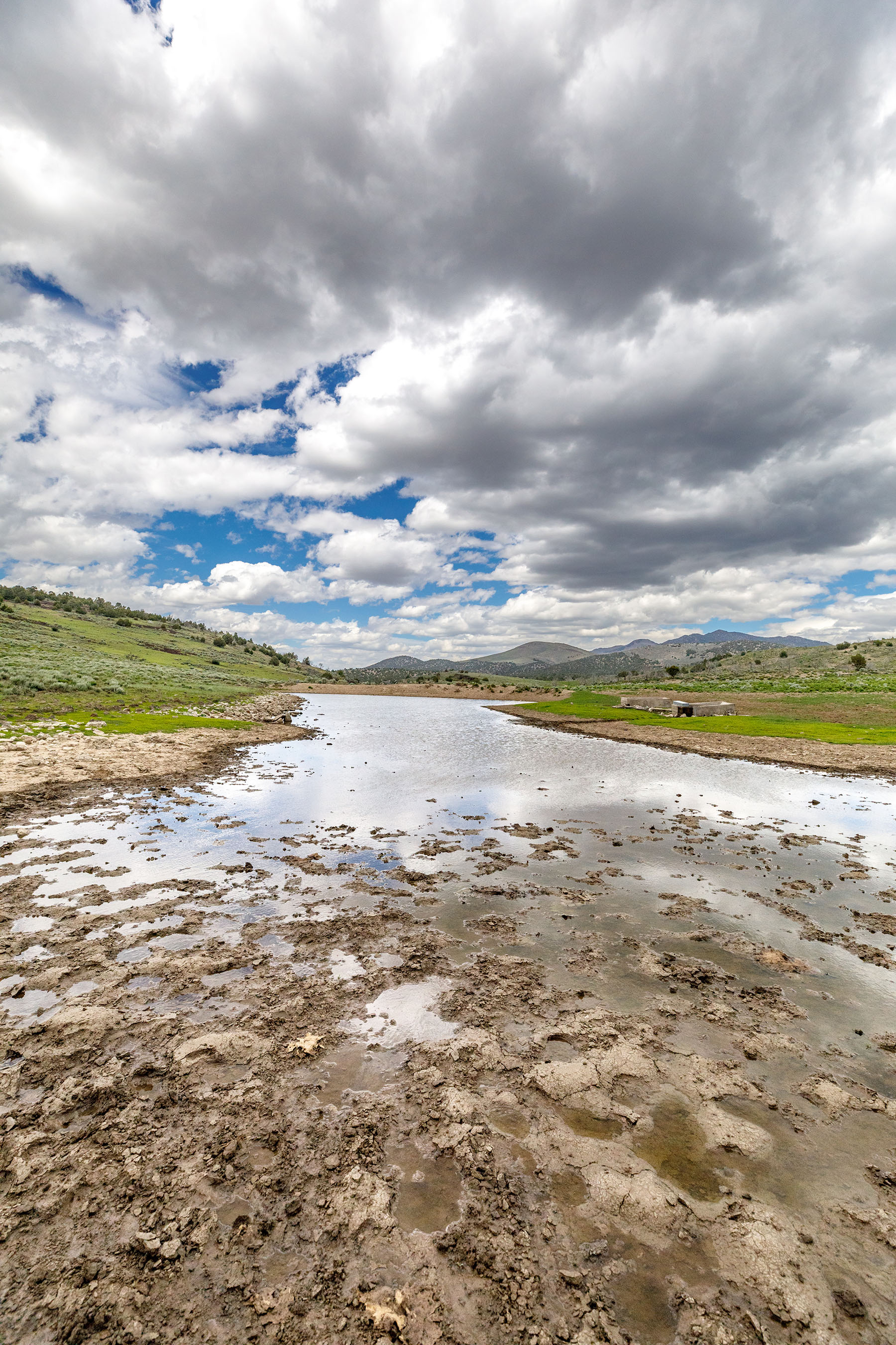 Diamond Springs Ranch property picture 44 of 48