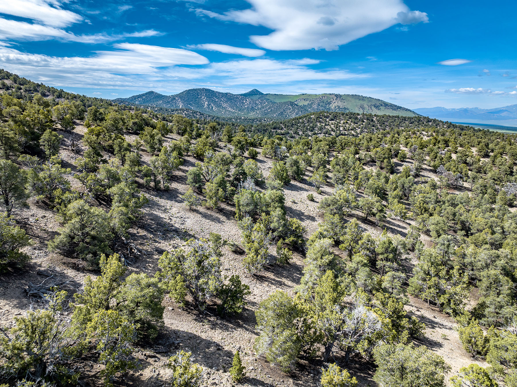 Diamond Springs Ranch property picture 30 of 48