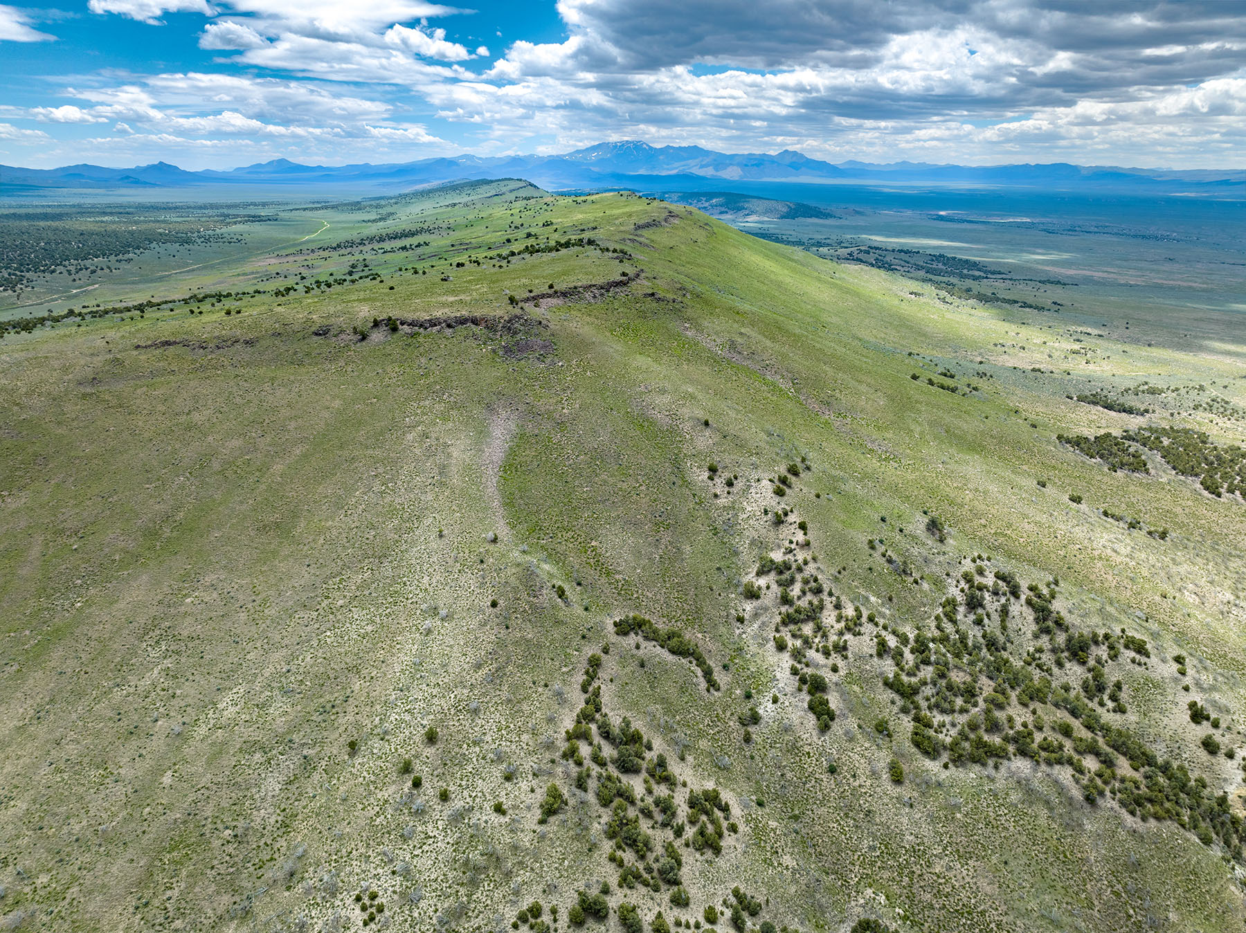 Diamond Springs Ranch property picture 9 of 48