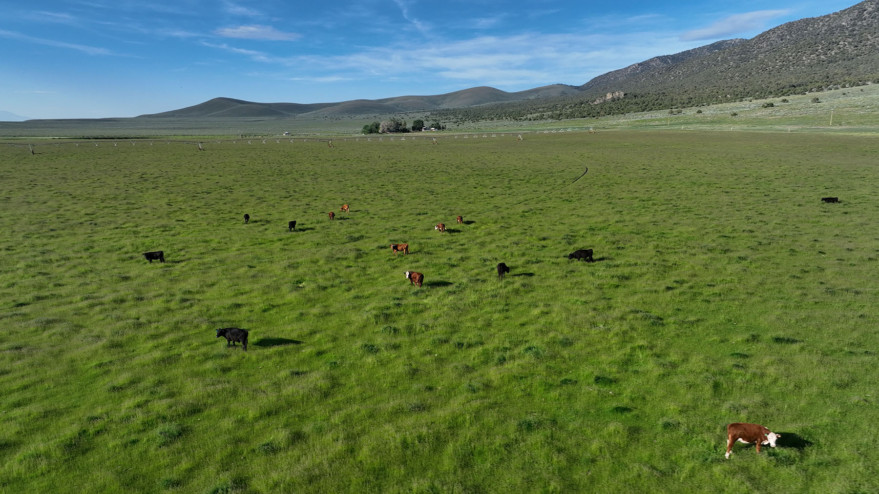 Diamond Springs Ranch property picture 23 of 48