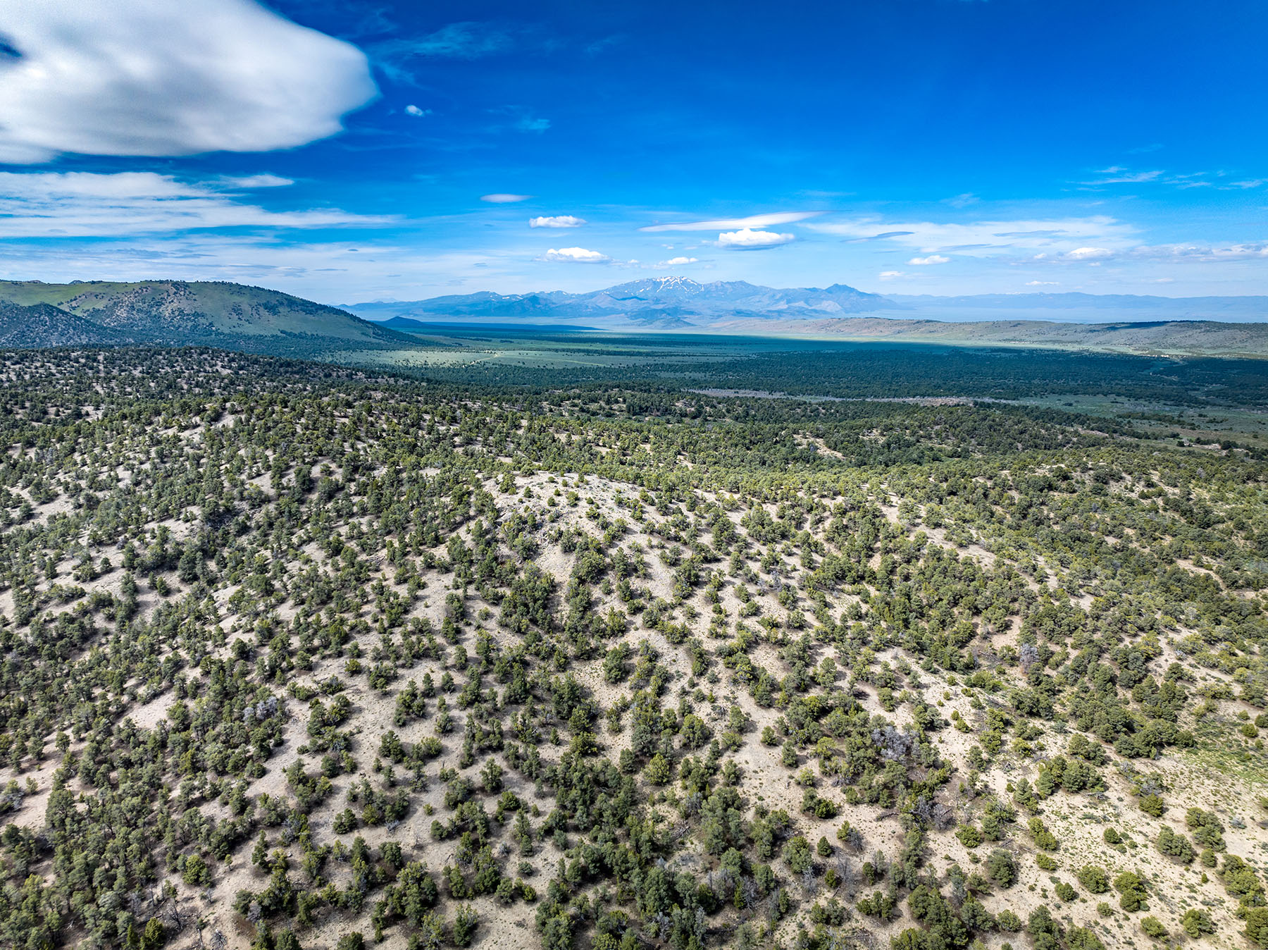 Diamond Springs Ranch property picture 25 of 48