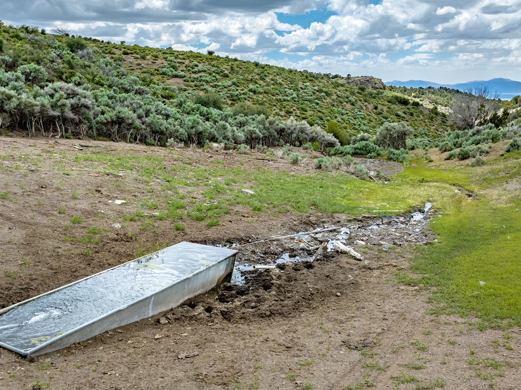 Diamond Springs Ranch property picture 43 of 48