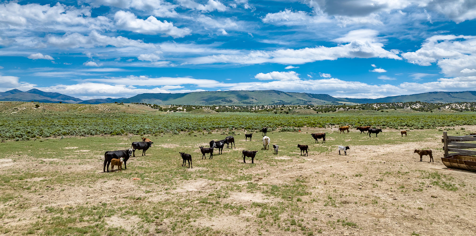 Diamond Springs Ranch property picture 8 of 48