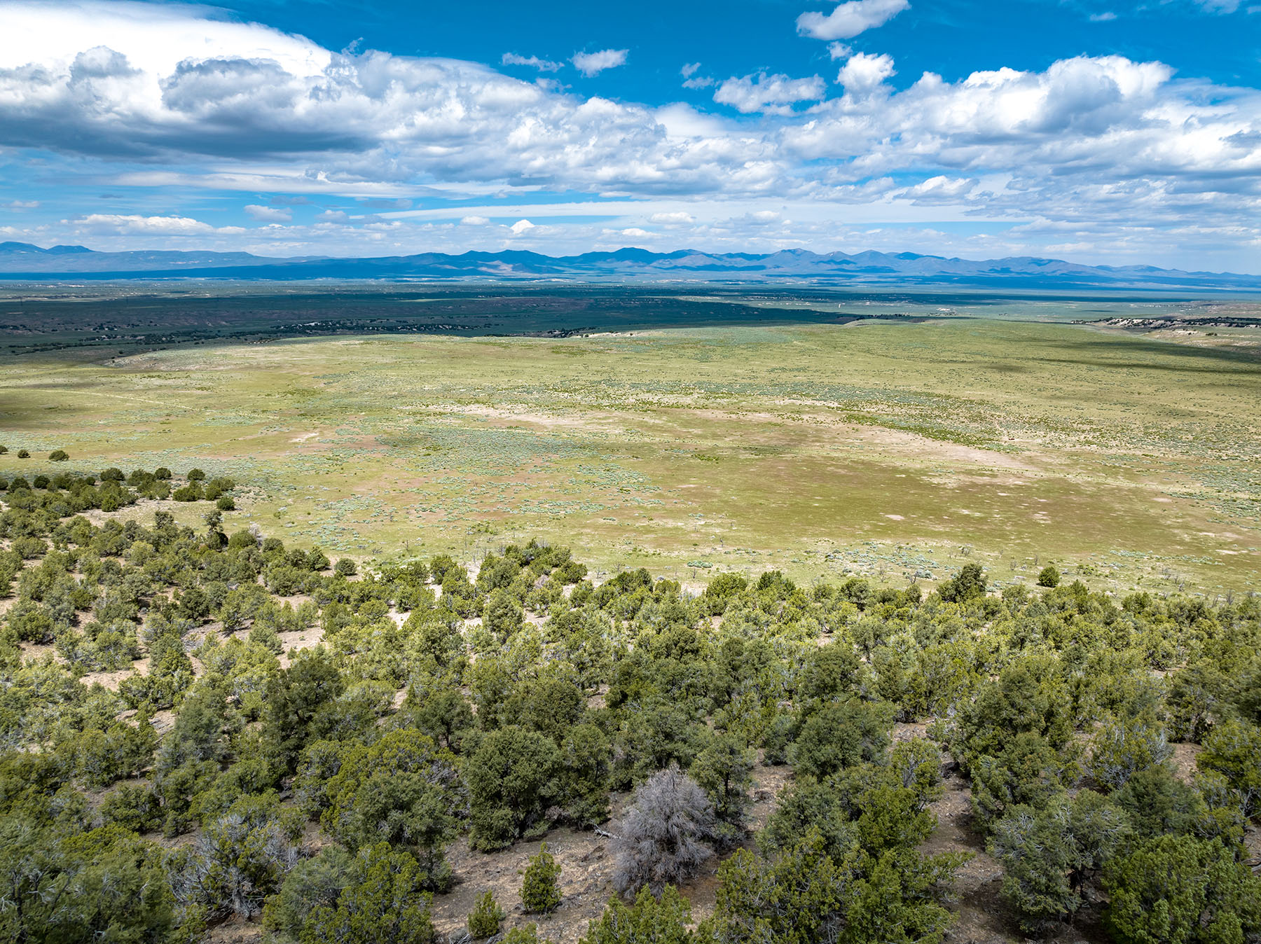 Diamond Springs Ranch - Sold - Nevada - Hall and Hall